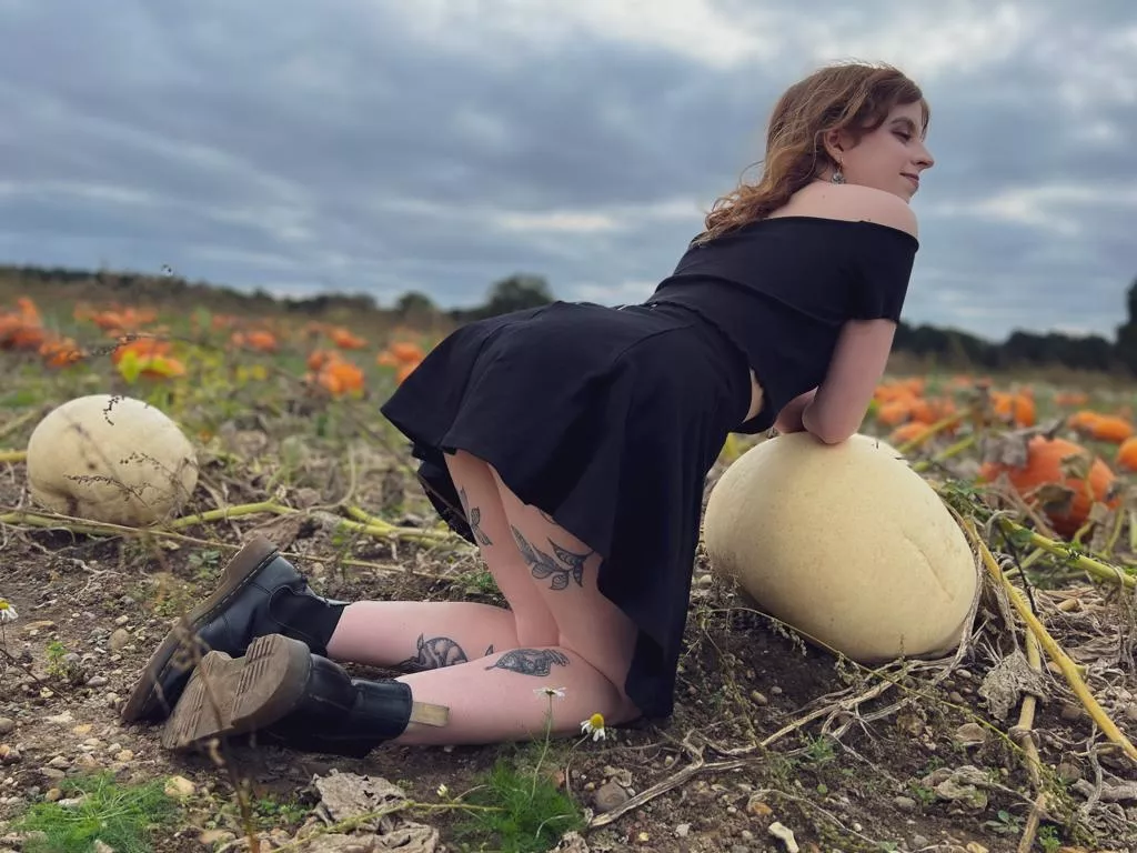 On my knees at the pumpkin patch (f)