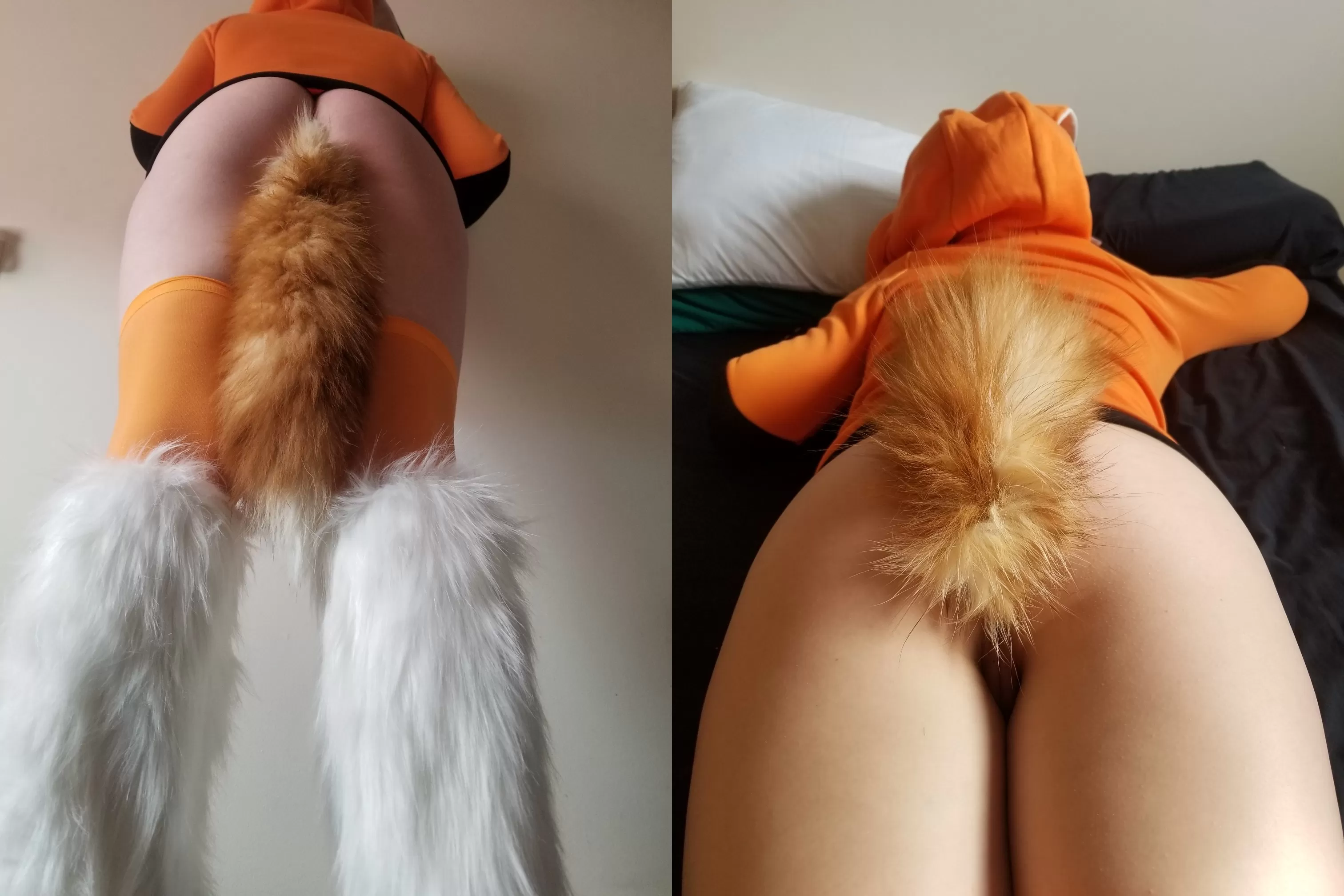 Orange Fox