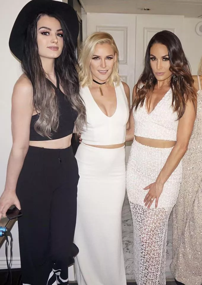 Paige, Renee Paquette, Brie Bella