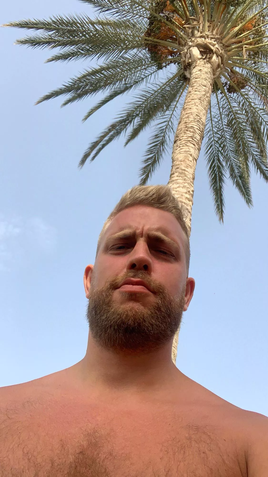 Palm McCartney and his little beard 🌴 Should I grow bigger?