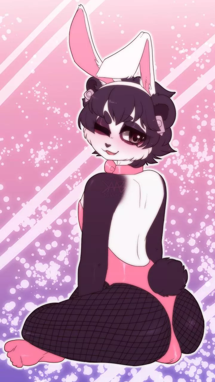 Panda Bunny! (cupiddissolvi)