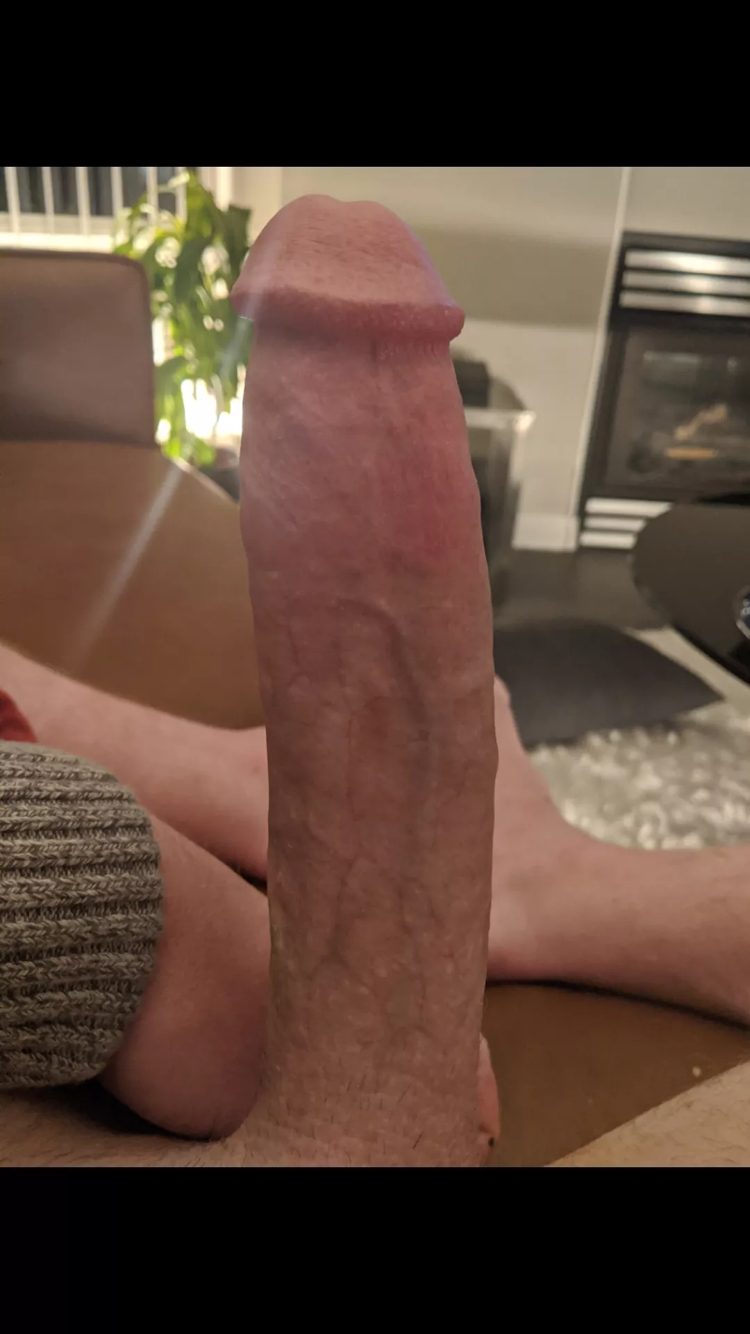 Perfect Penis?