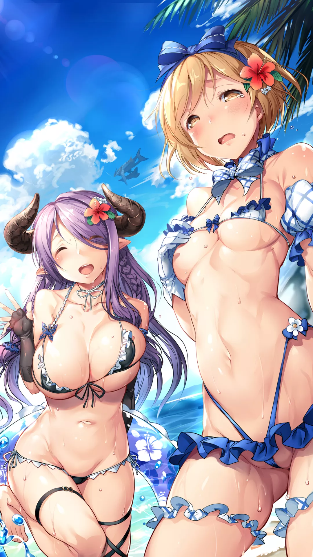 [PhoneWall] Narmaya and Djeeta from Granblue Fantasy