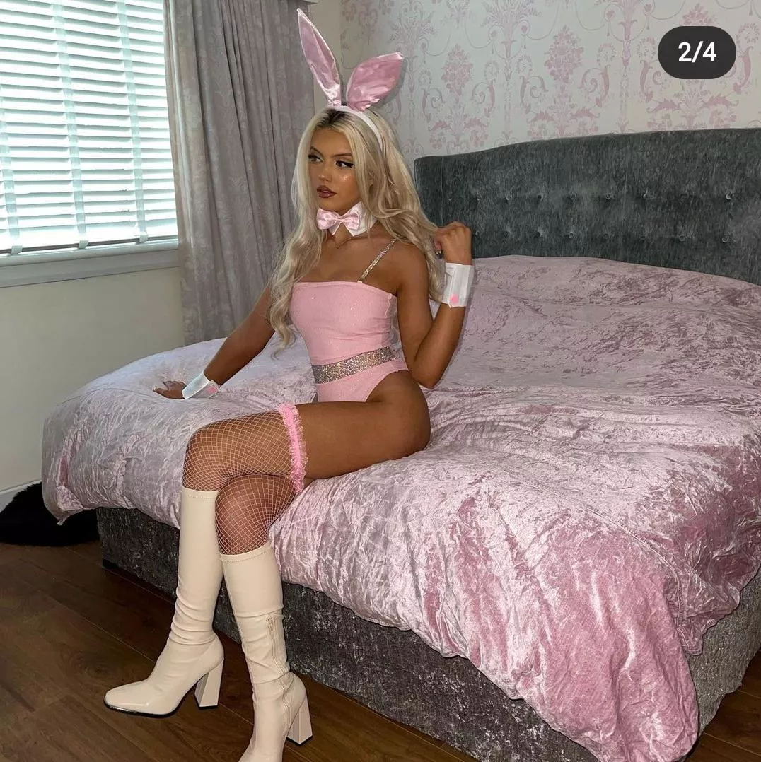 Pink bunny