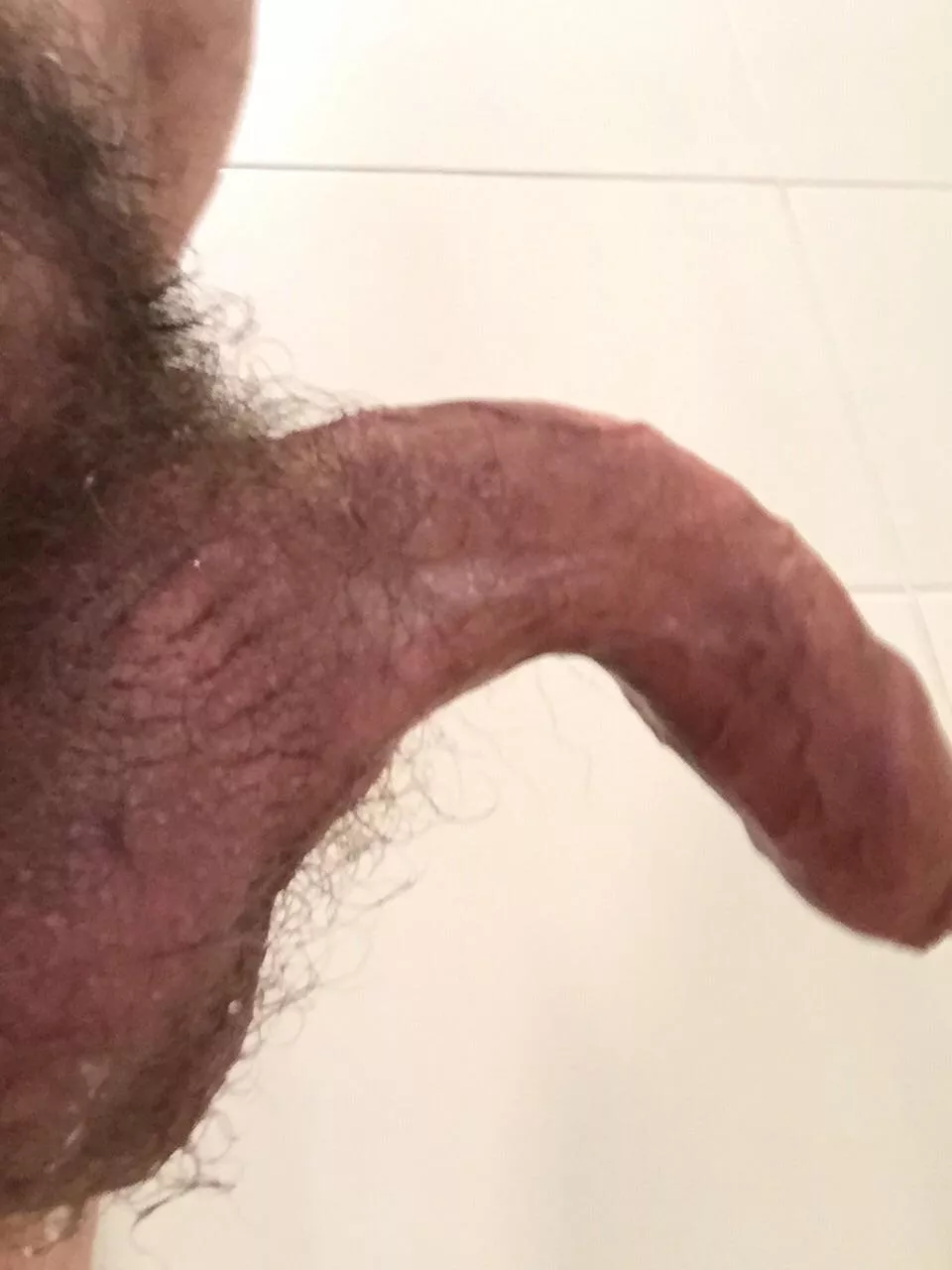 Piss dripping from my balls making me hard