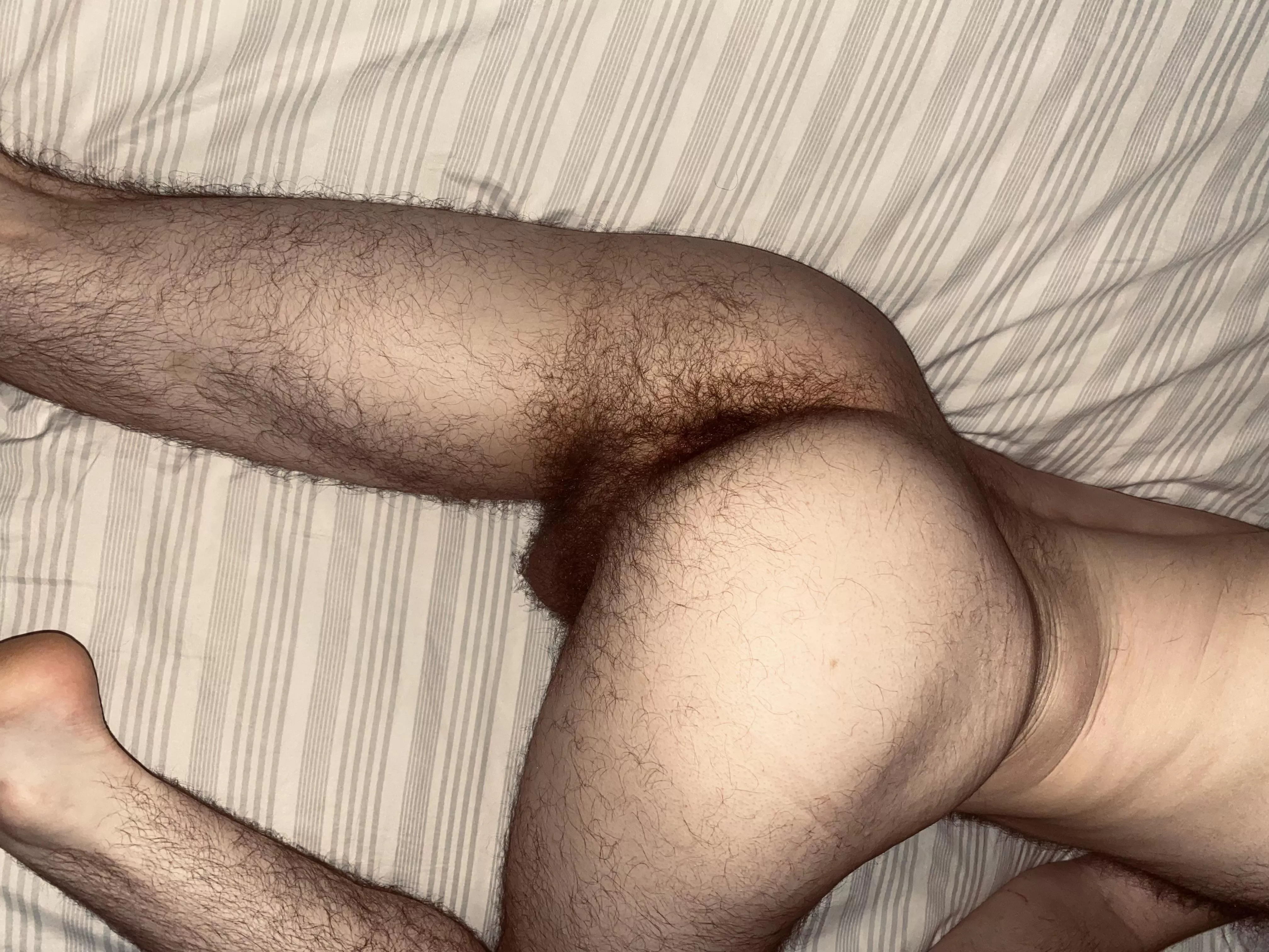 Play with my hairy balls while you eat my hairy hole 😉 (24m)