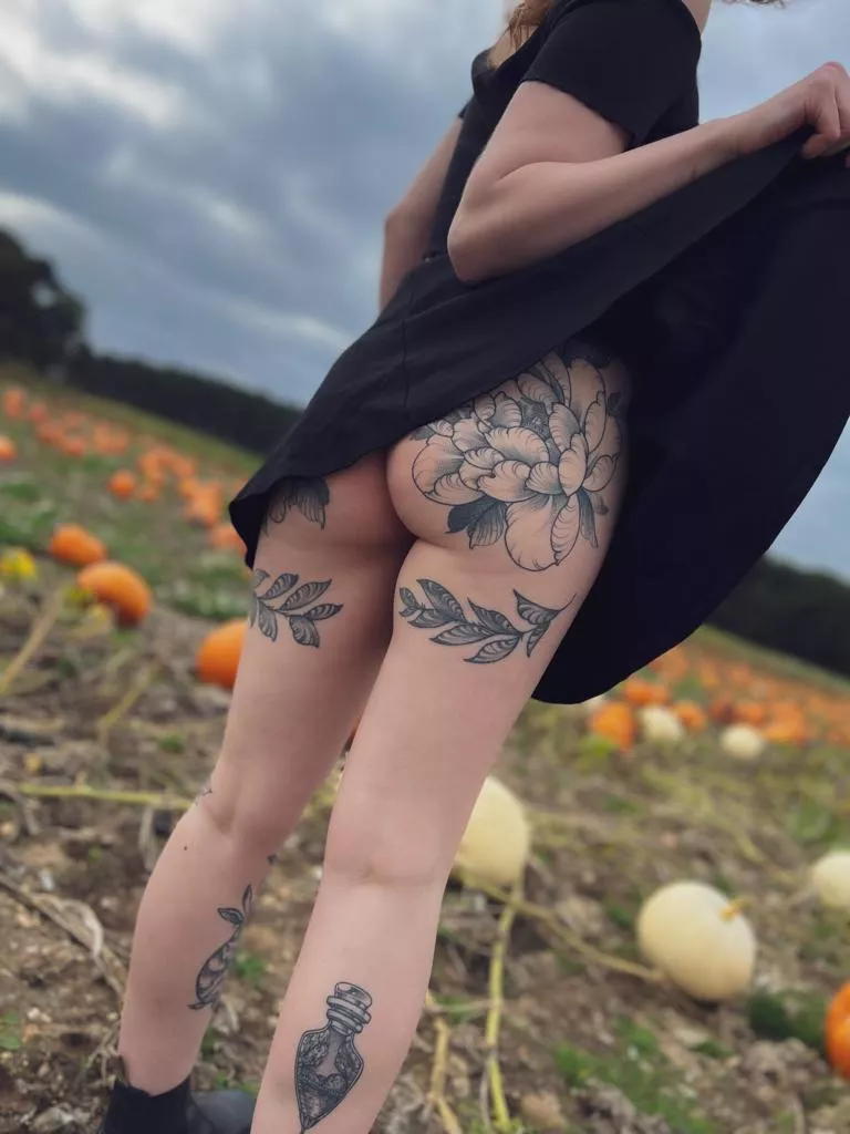 playing around at the pumpkin patch