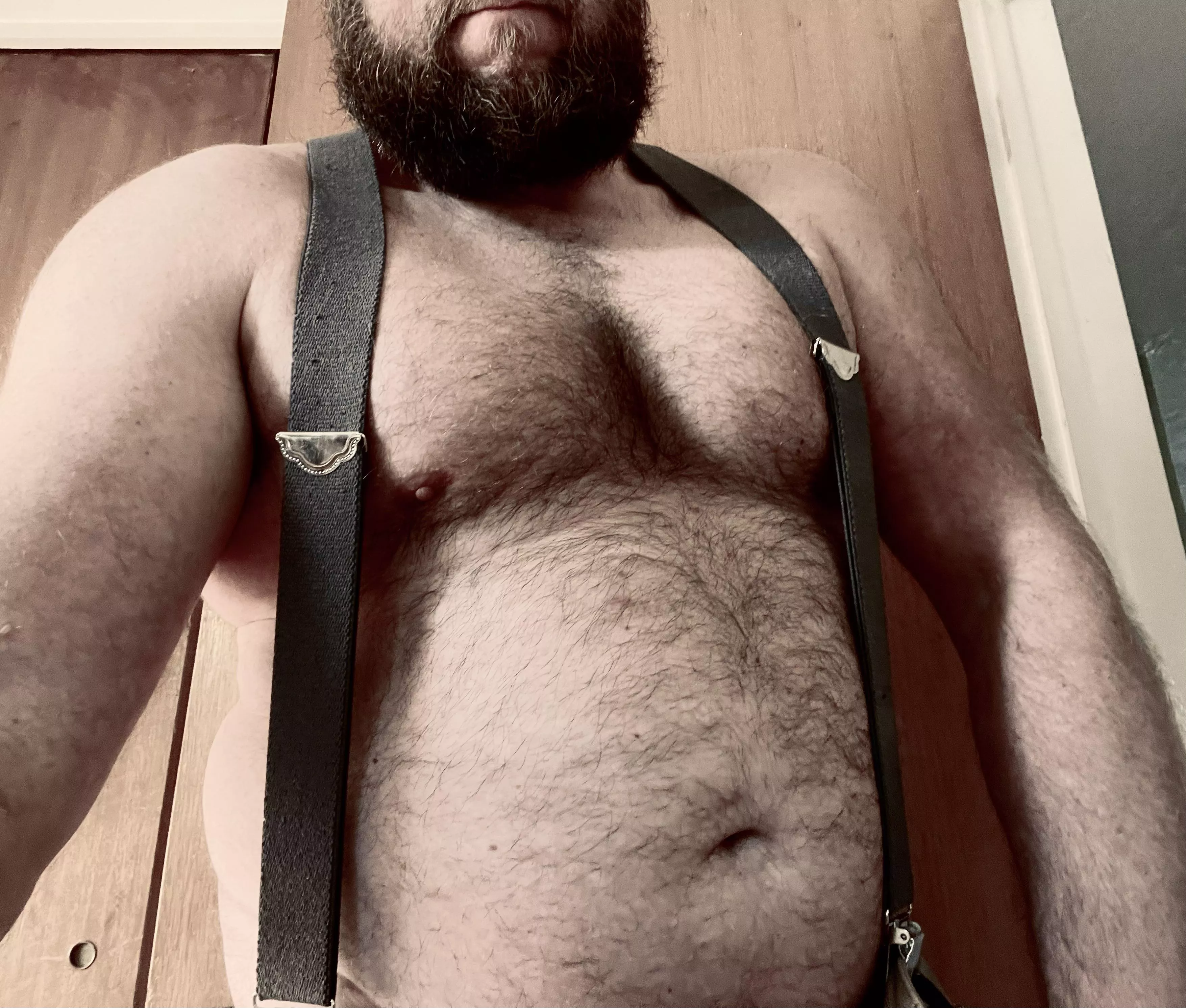 PlumberBear ðŸ’§ ðŸ”§ ðŸ»