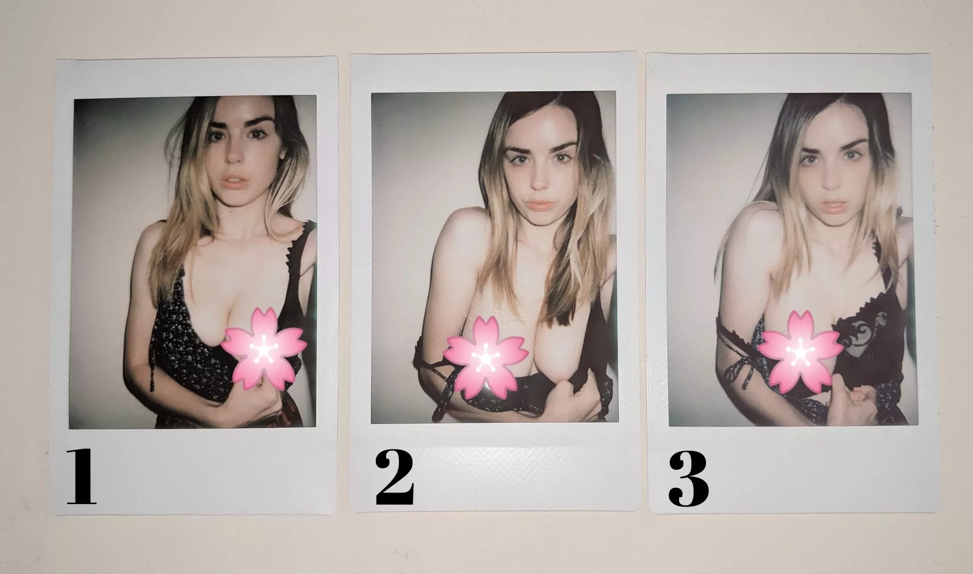 polaroids