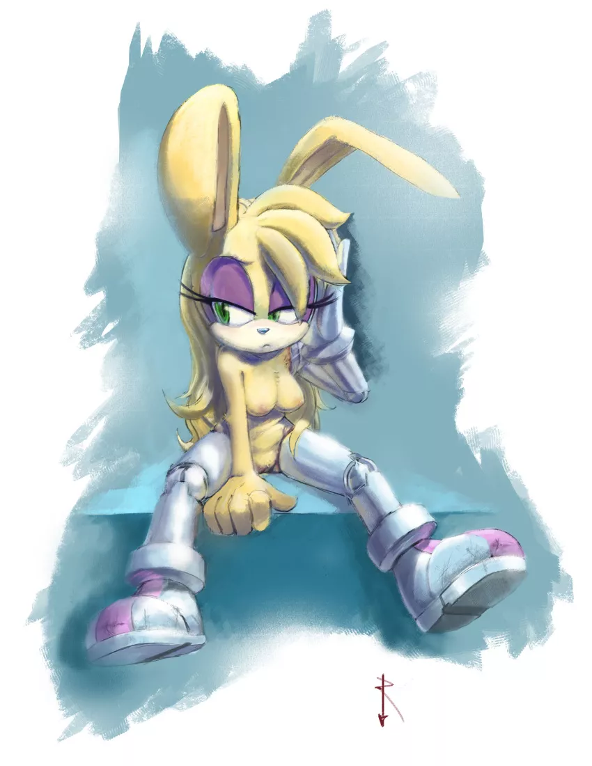 Posting best Sonic girl until the new game releases (day 18)