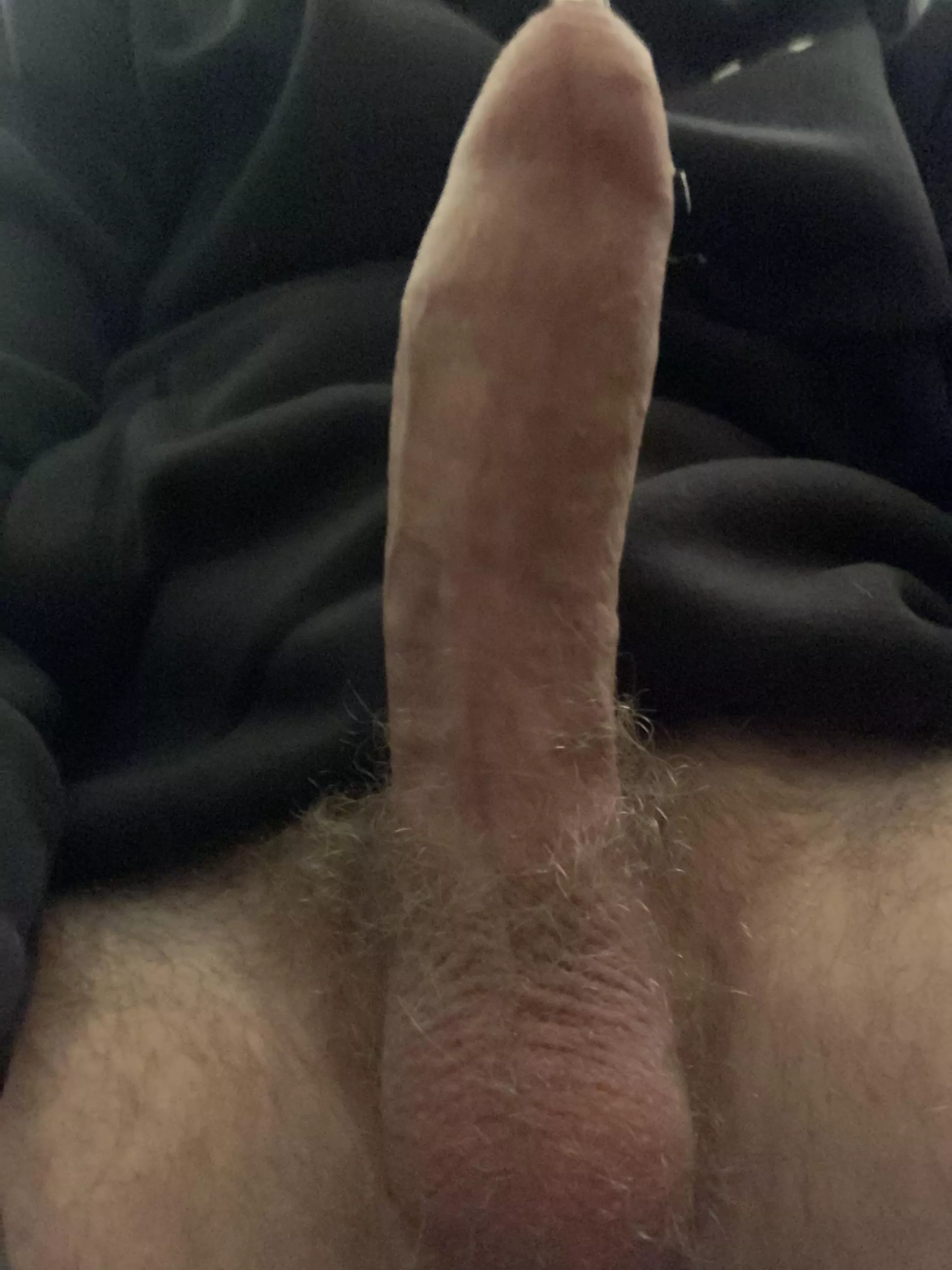 POV youâ€™re about to worship this cock