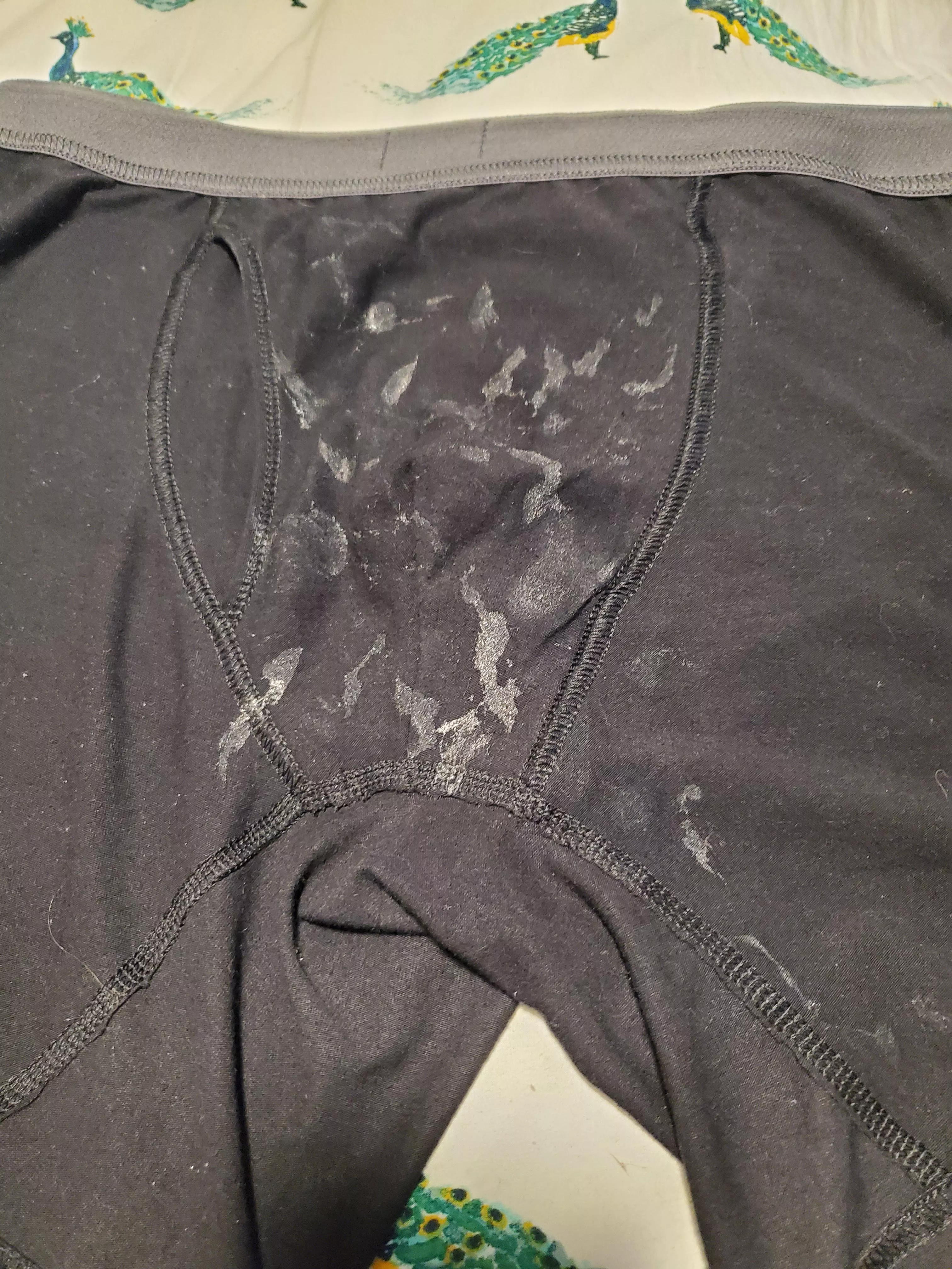 Precum stains from work last night😏