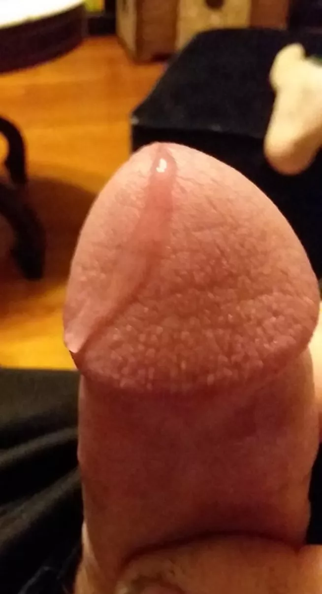 Precumming! I stay like this. If only I could find a Woman that likes to cum as much as I do. ðŸ˜‰