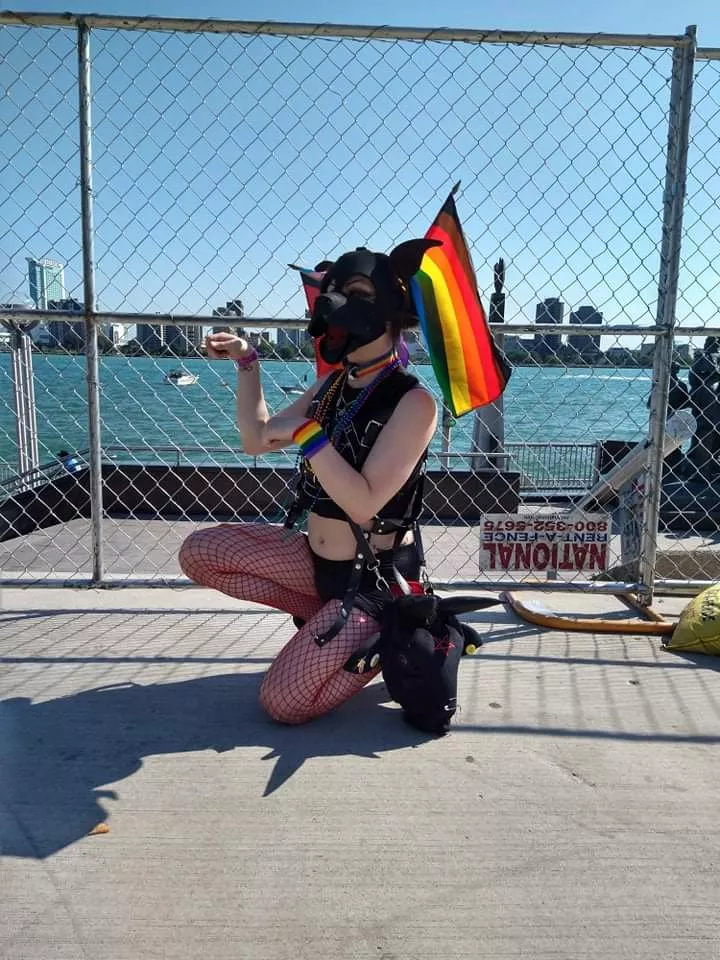 Pride Pup! 🌈