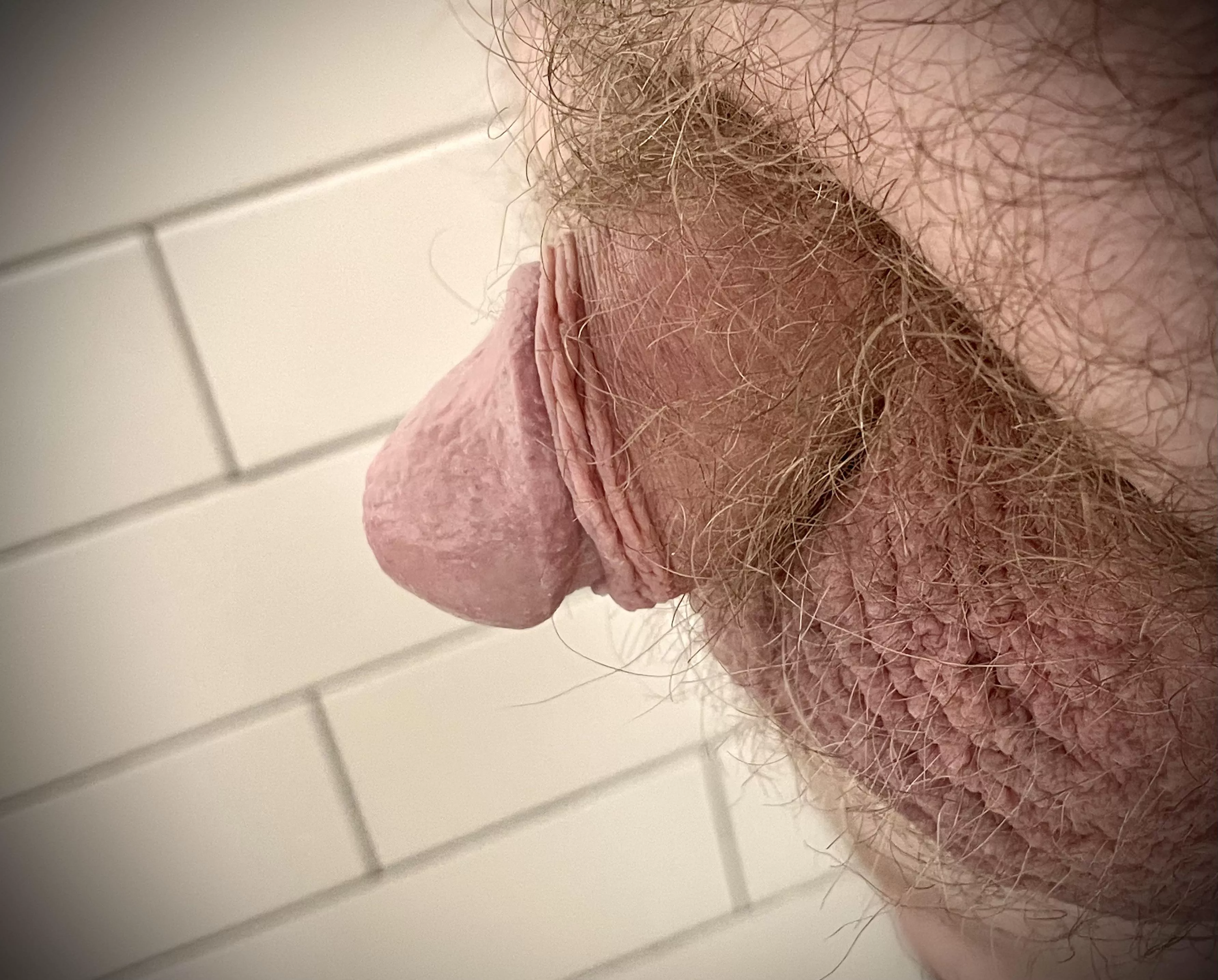 Public Restroom [45]