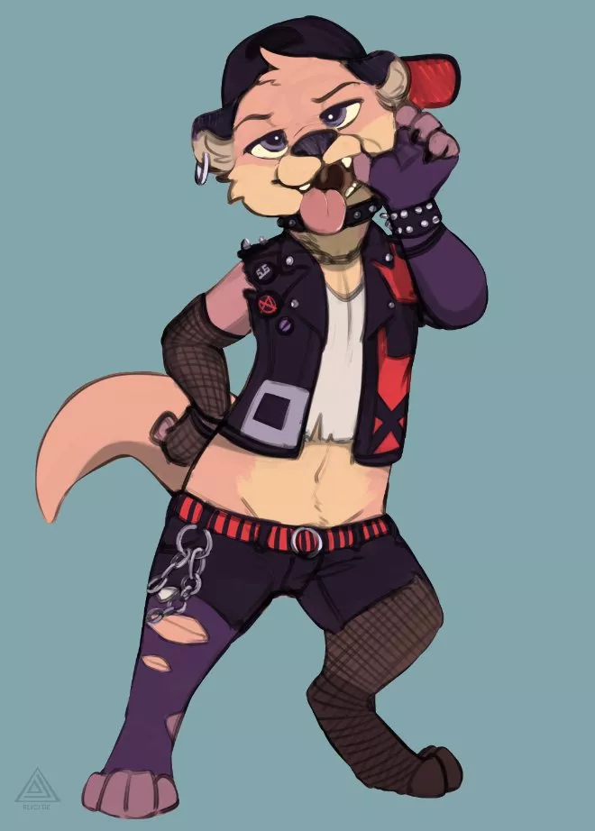 Punk Chester (Elicitie)