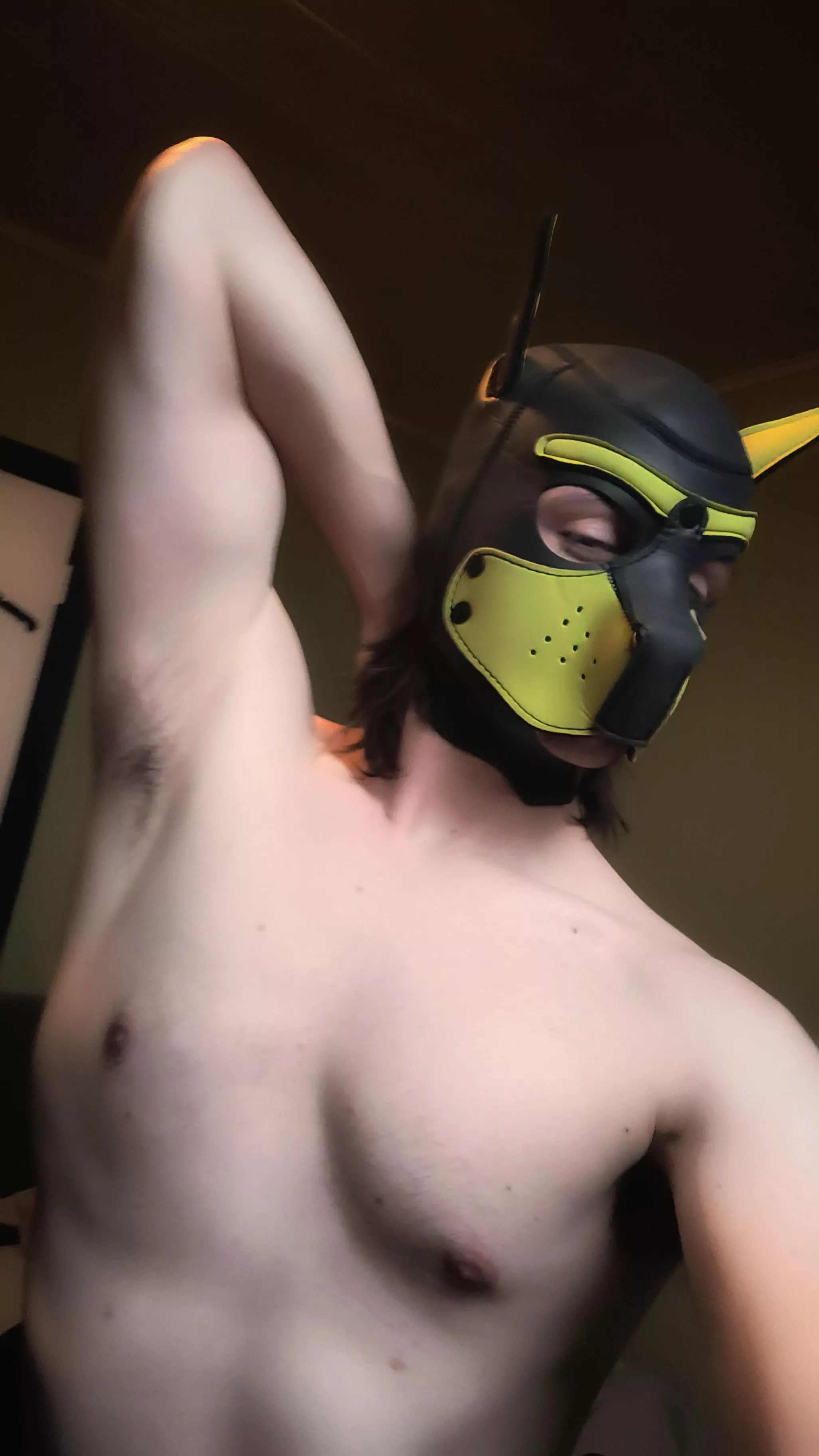 Pup just airing his pits~ Arfff~