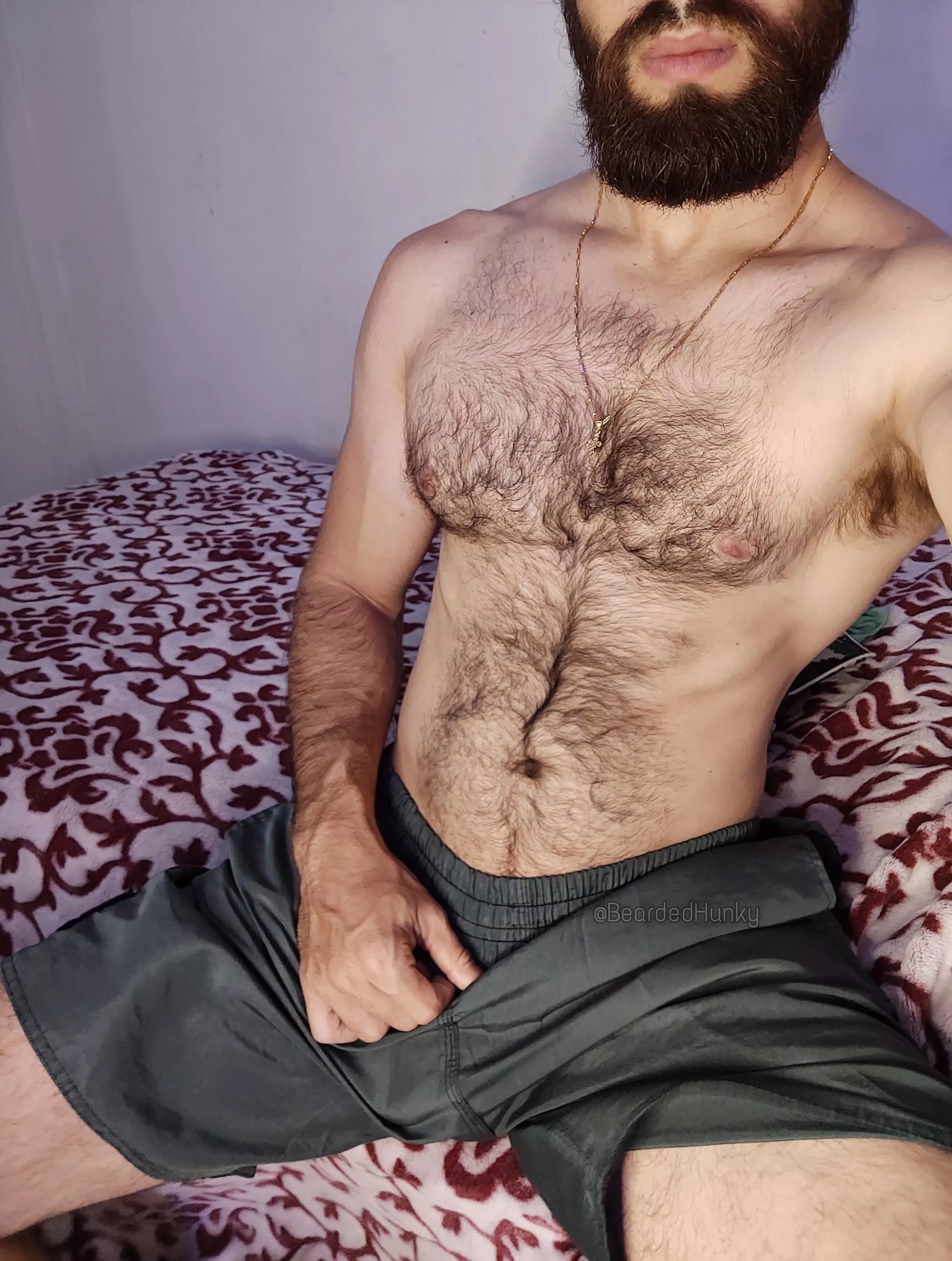 Pure chest hair porn