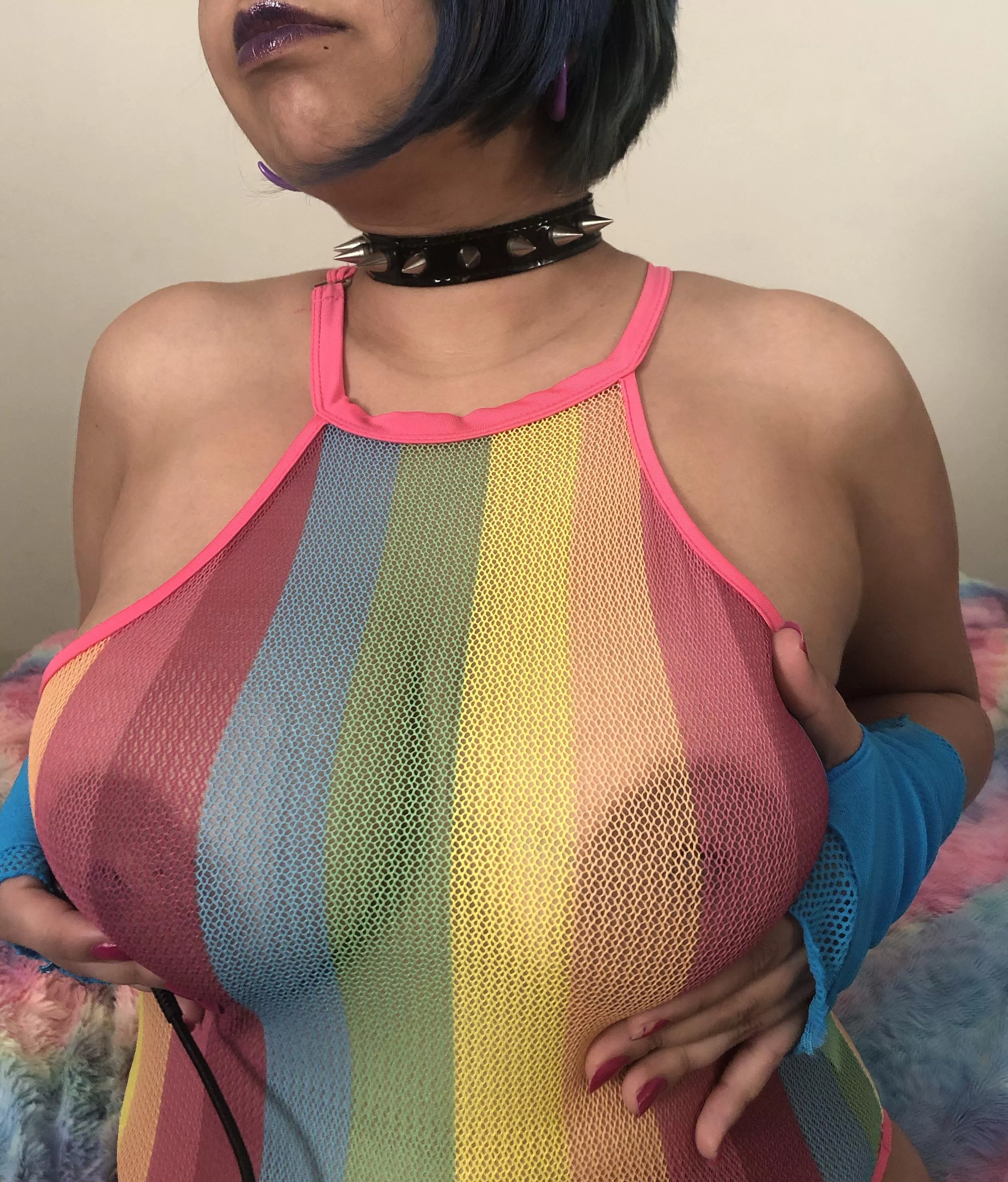 Rainbow tits 🌈