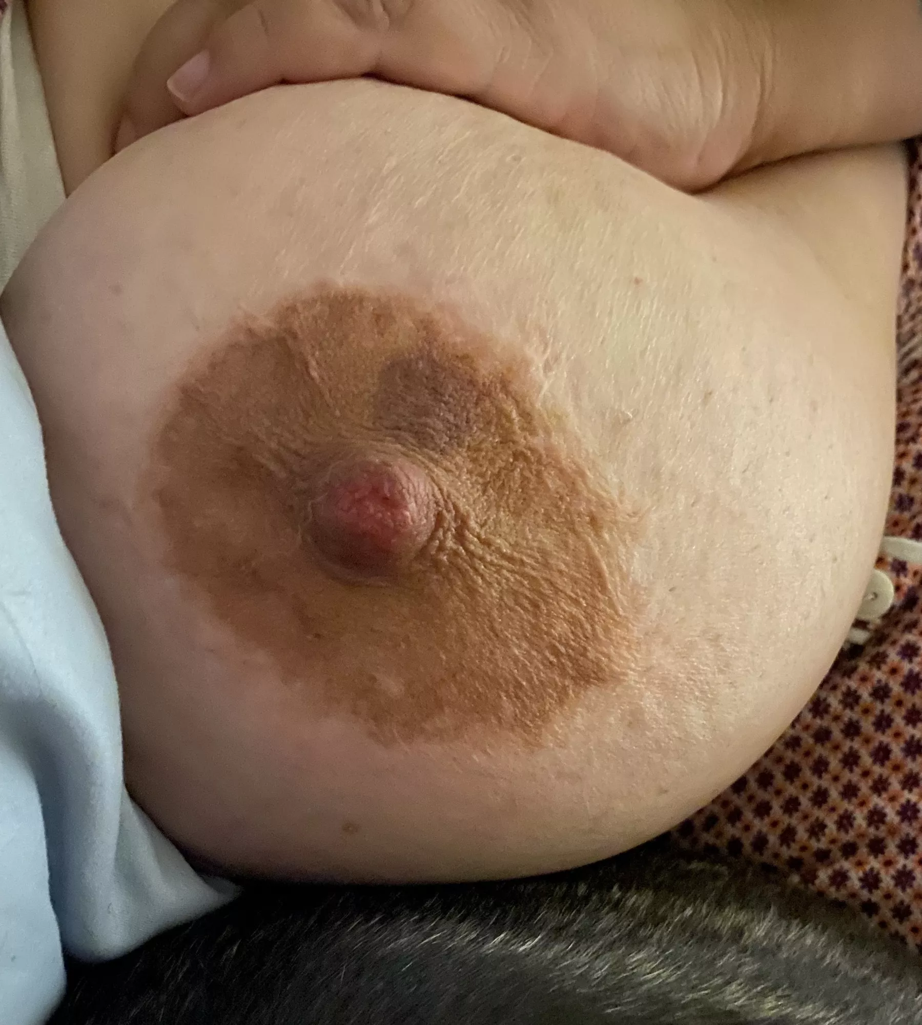 Raw nipple and bruised areola…not sure if from my husband or my fuck buddy. Hurt so good.