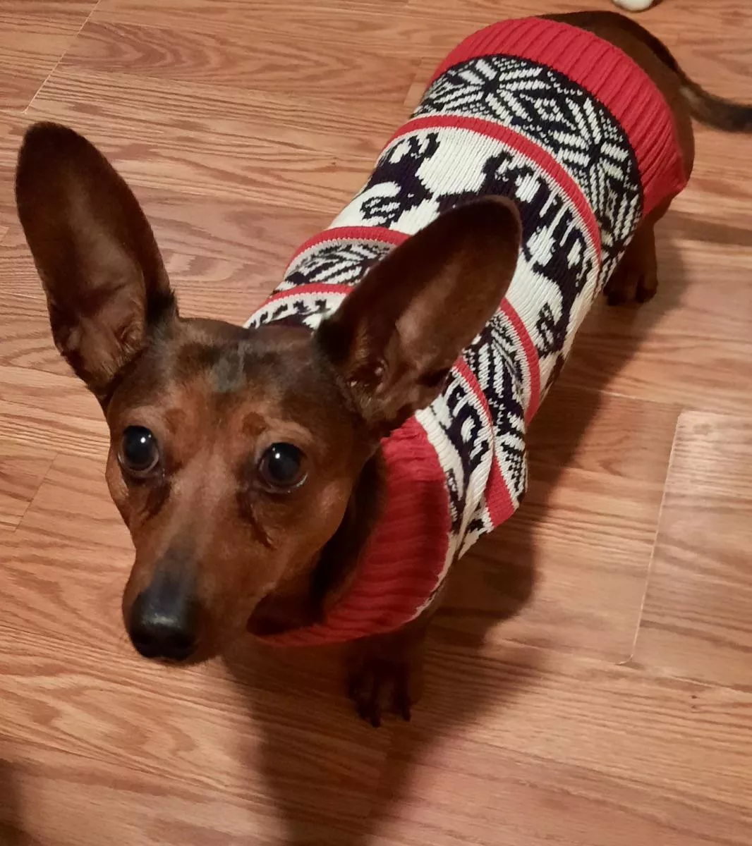 ready to shed her winter sweater