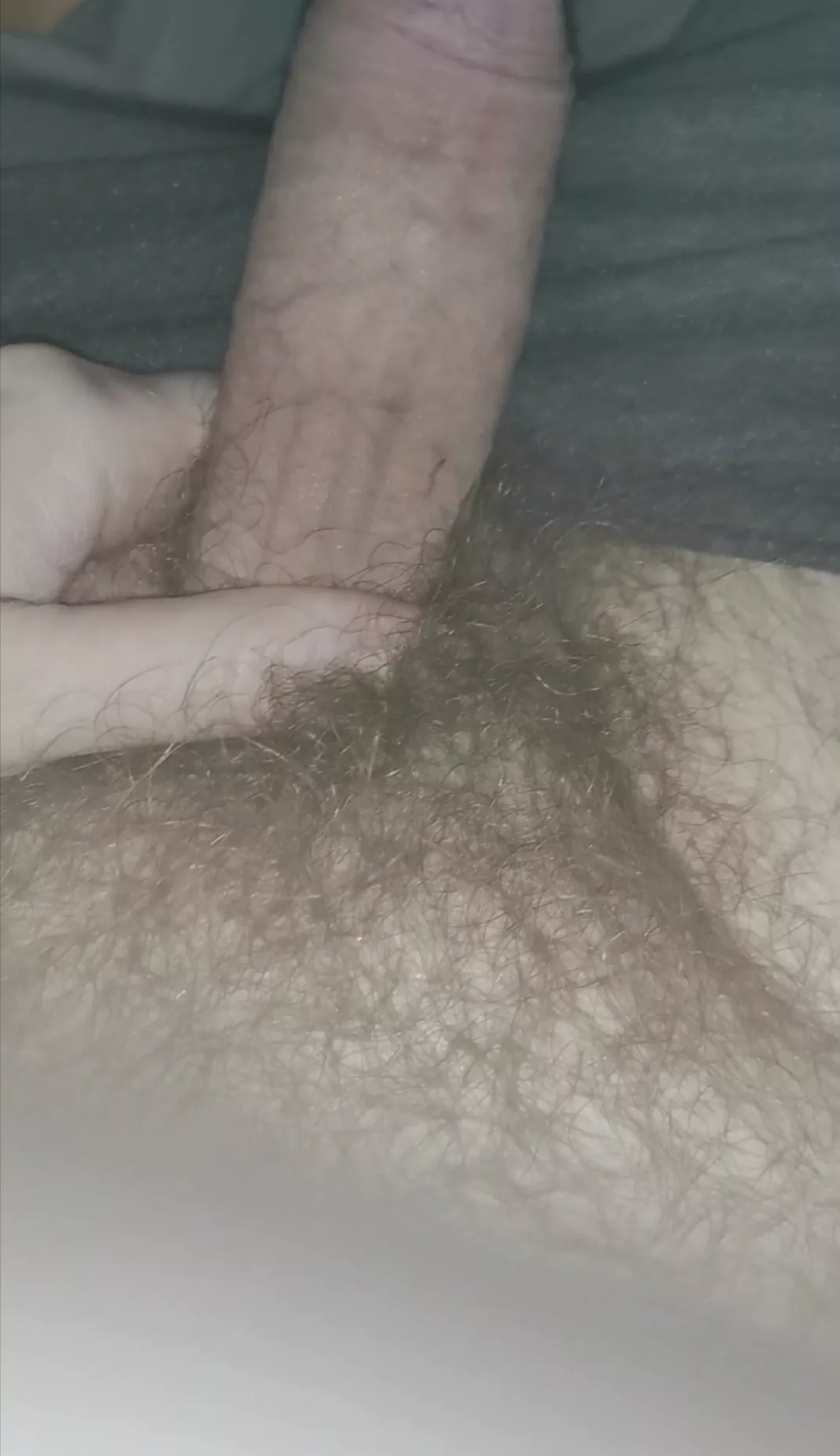 regular hairy guy