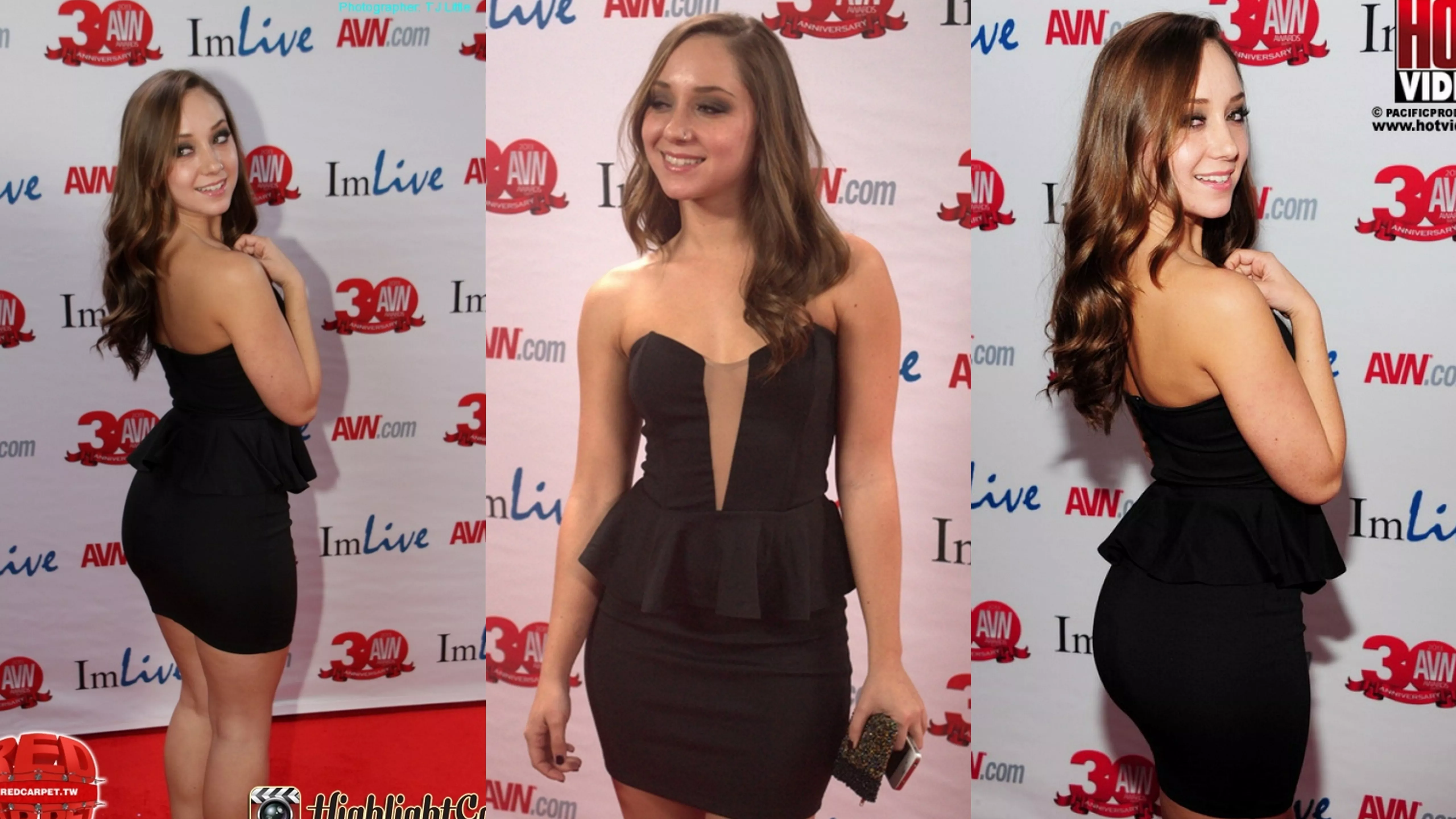 Remy Lacroix - AVN Collage