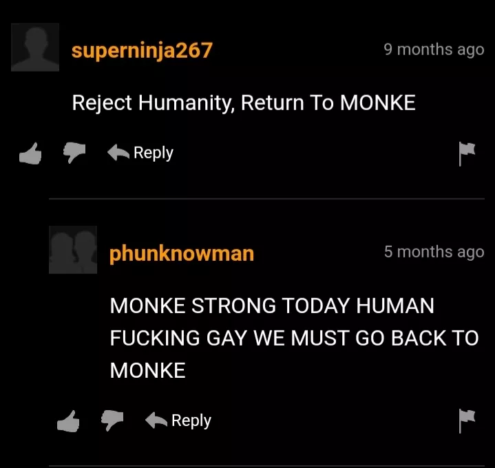 Return to Monke