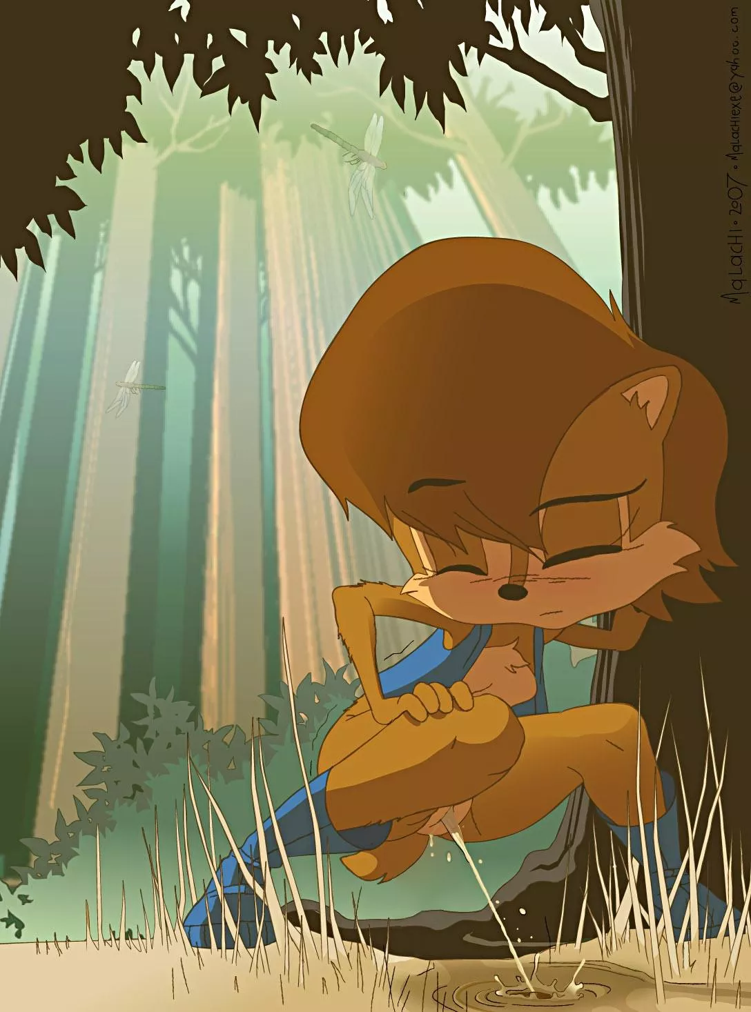 Sally Acorn