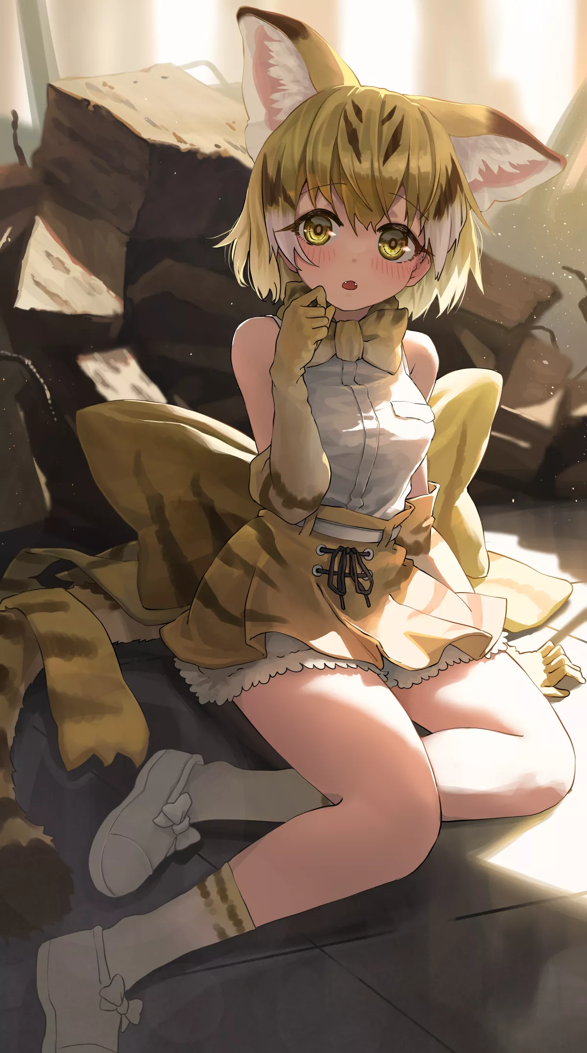 Sand Cat [Kemono Friends]