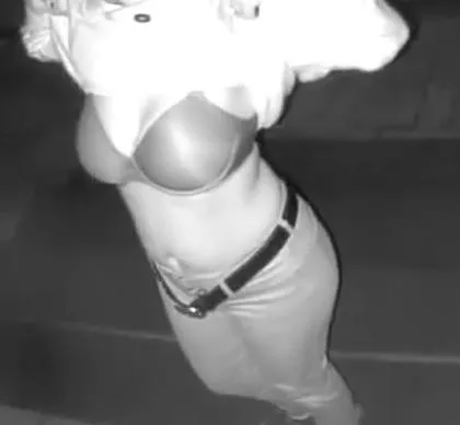 Security cam flash