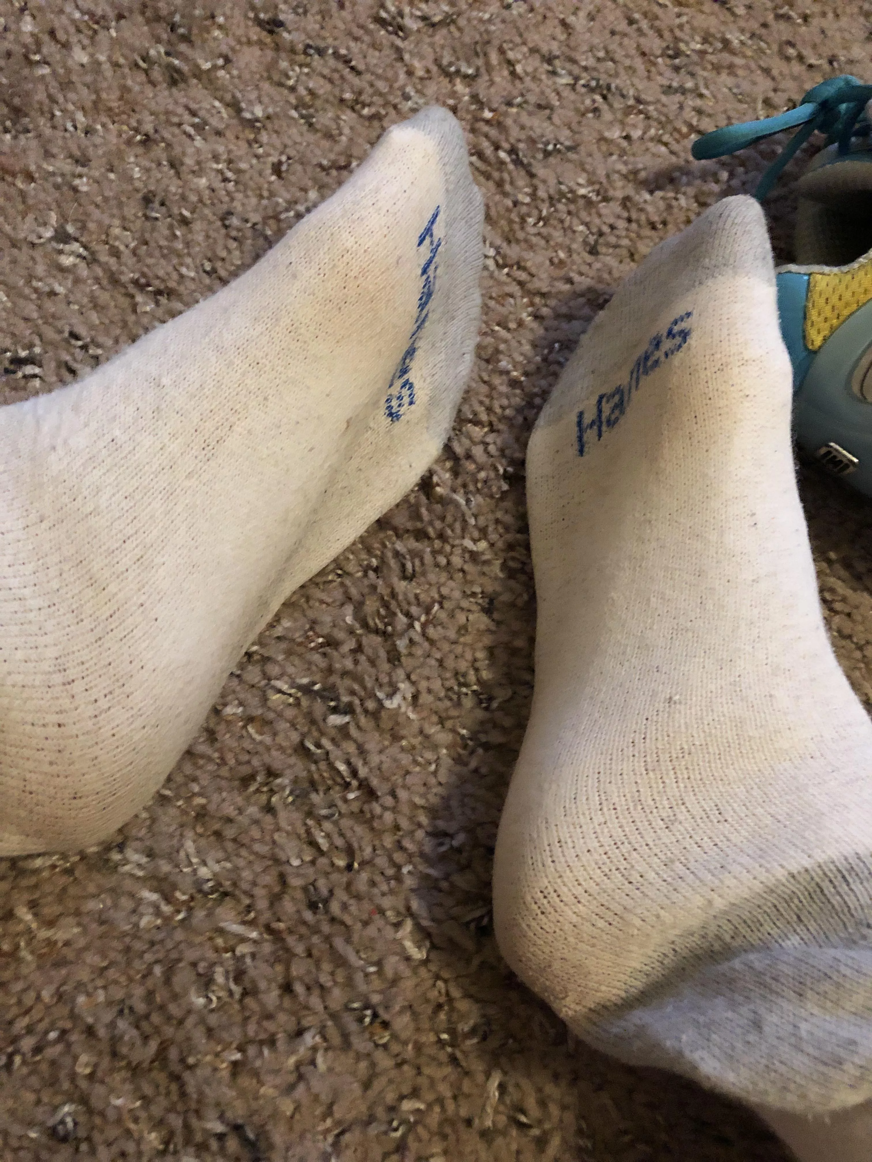 💋[Selling]💋 Yummy and sweaty cotton ankle socks, courtesy of this hot FL sunshine!🌞 These are sold but I can make another pair just for you!😍PM me with any questions, I can’t say “Yes!” unless you ask!