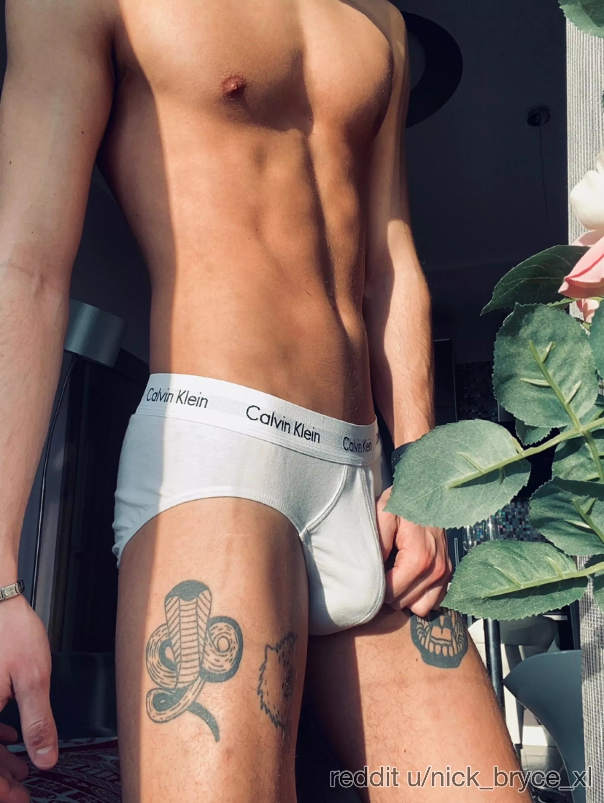 Sexy briefs , right?