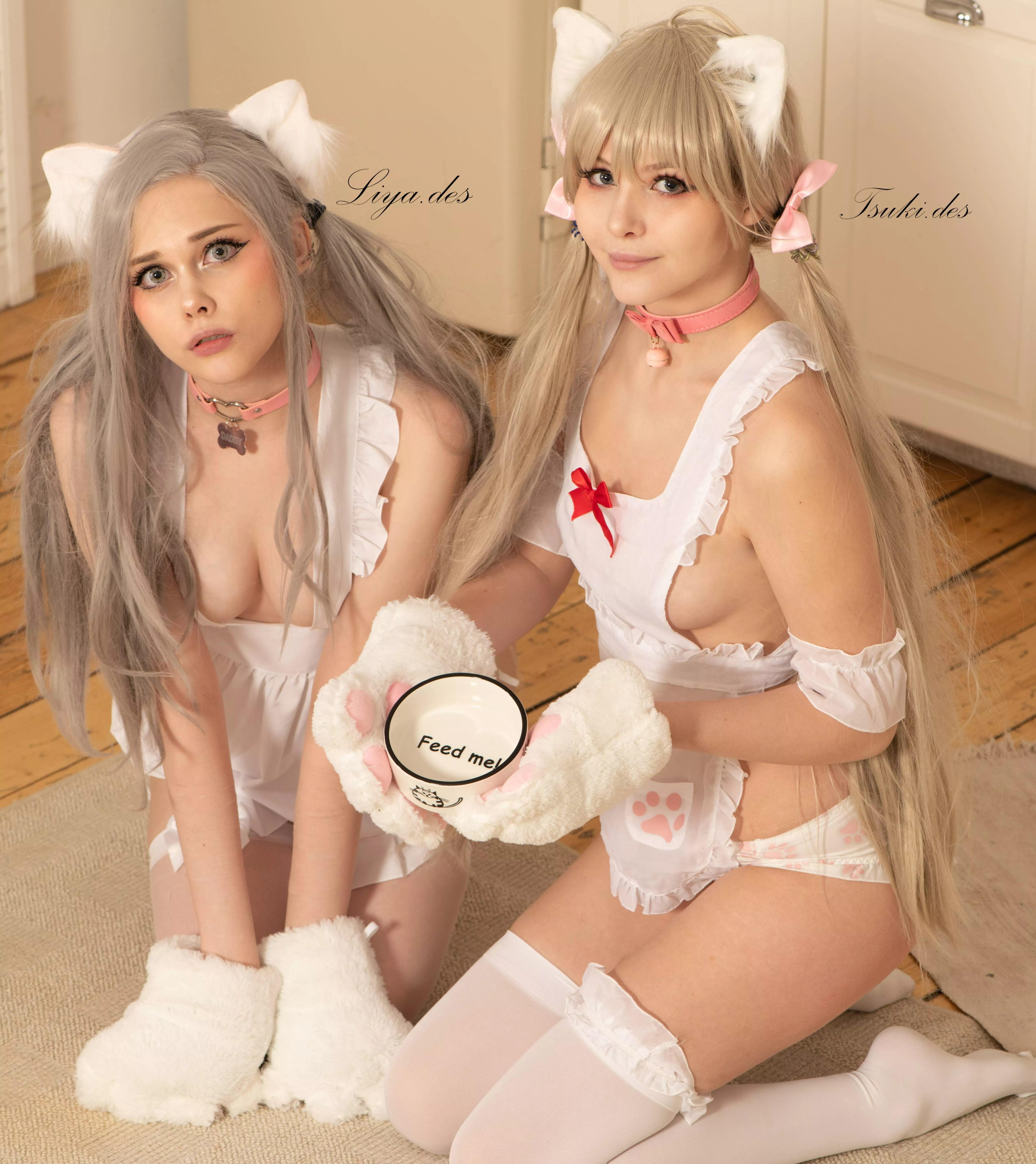 Sexy Catgirls by Liya.des and Tsuki.des