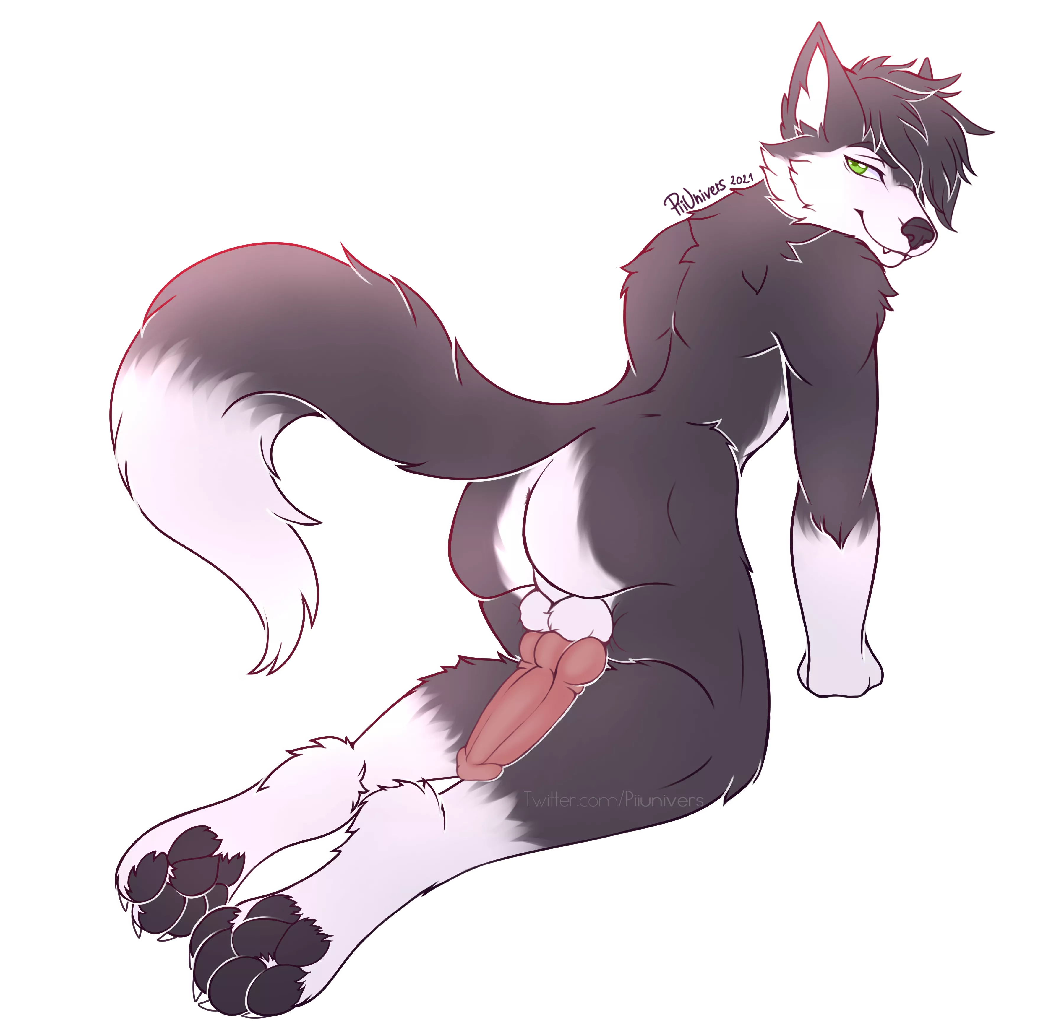 Sexy Male Furry Wolf Looking at You (artist:me, Twitter @Piiunivers)