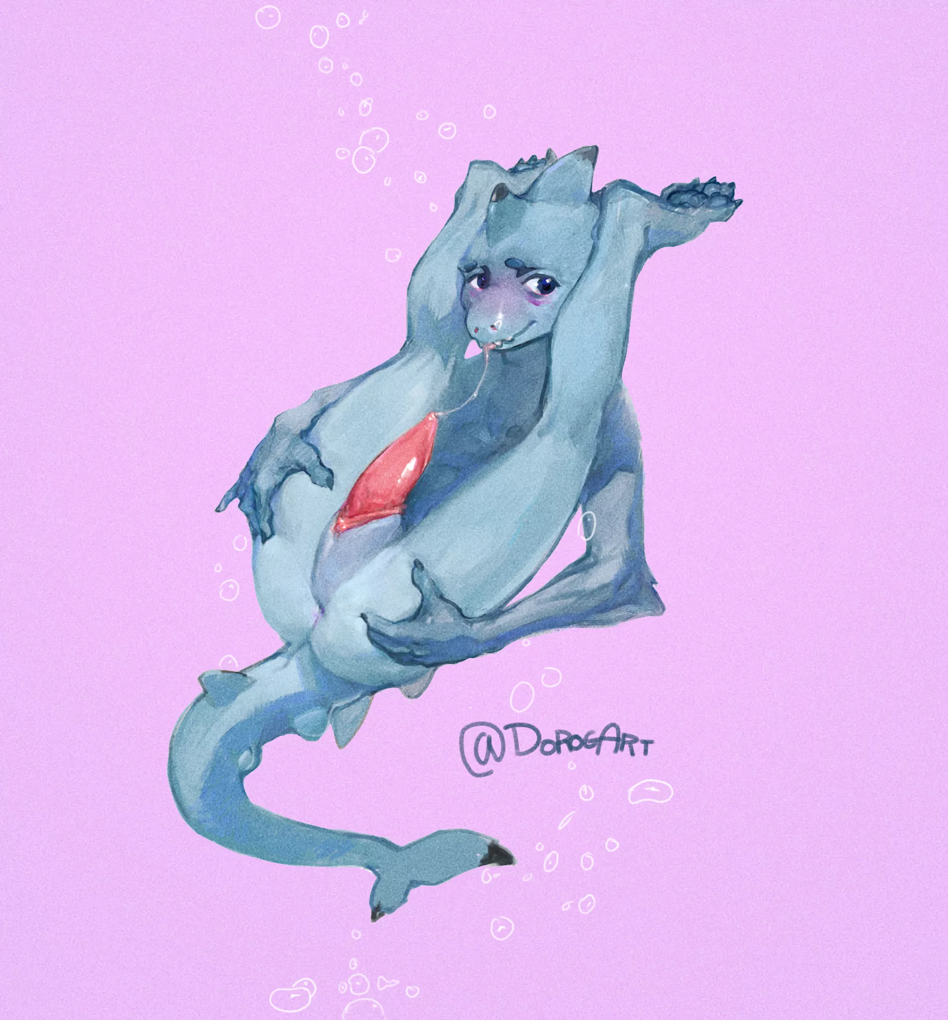 shark boyo (by me)