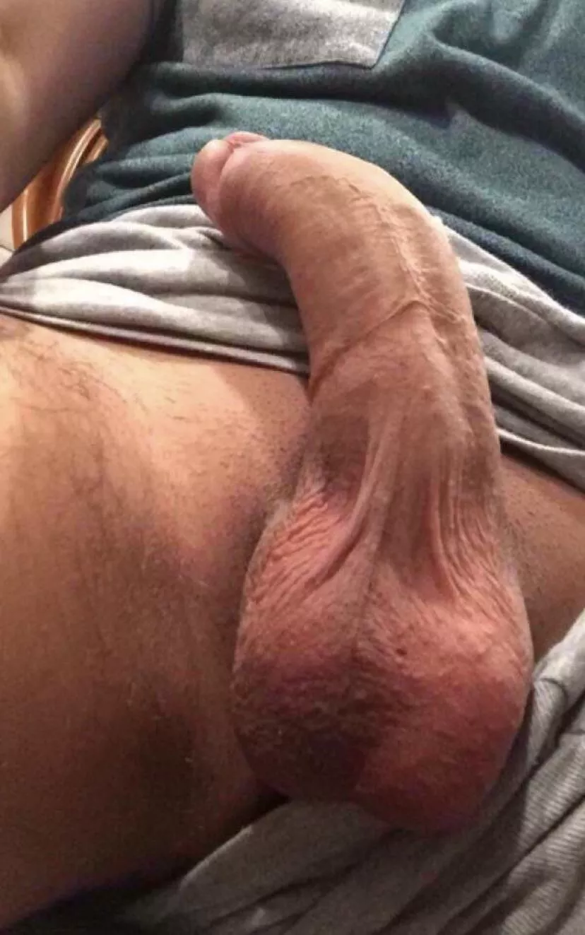 Shaved & hanging