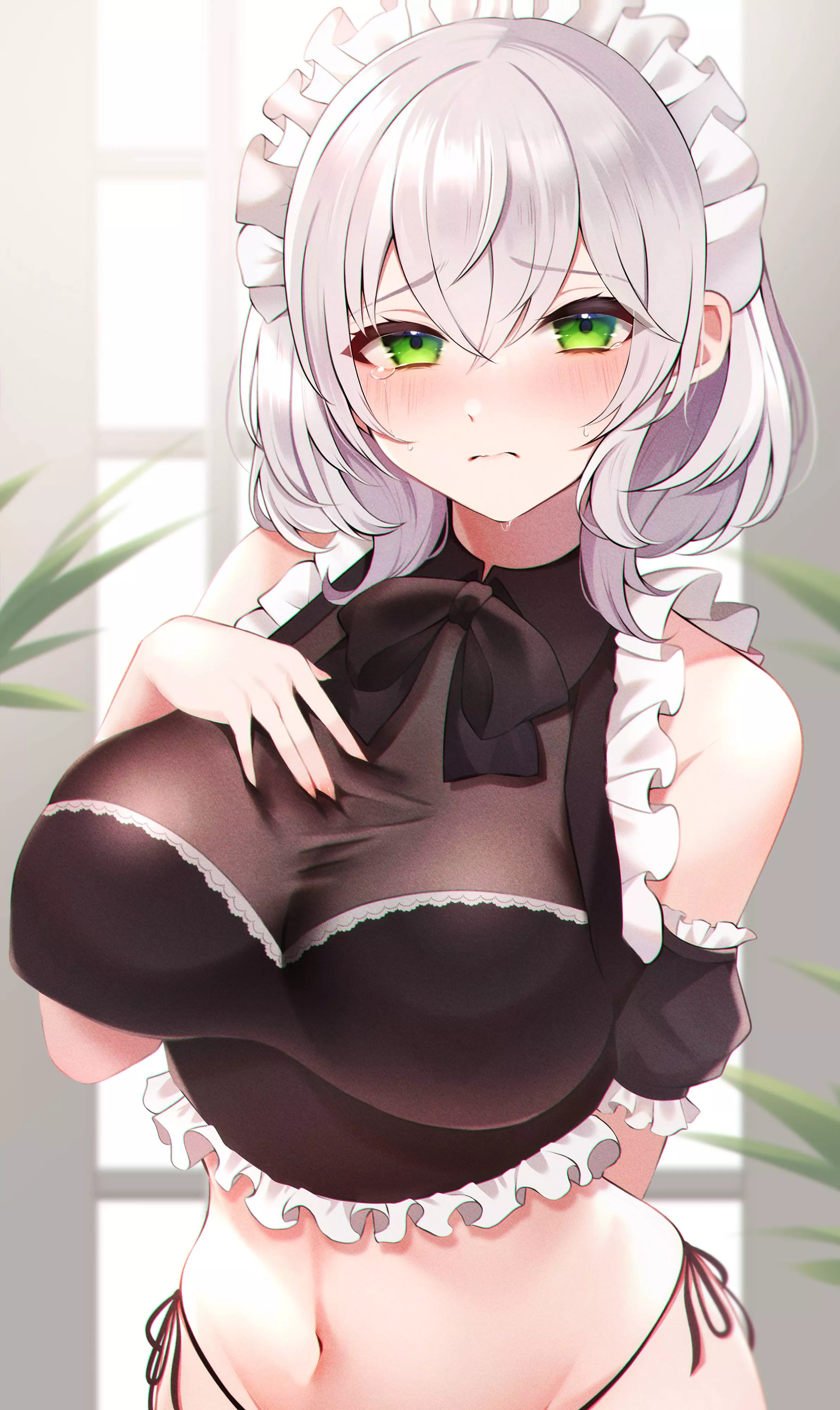 Shirogane Noel [Hololive]