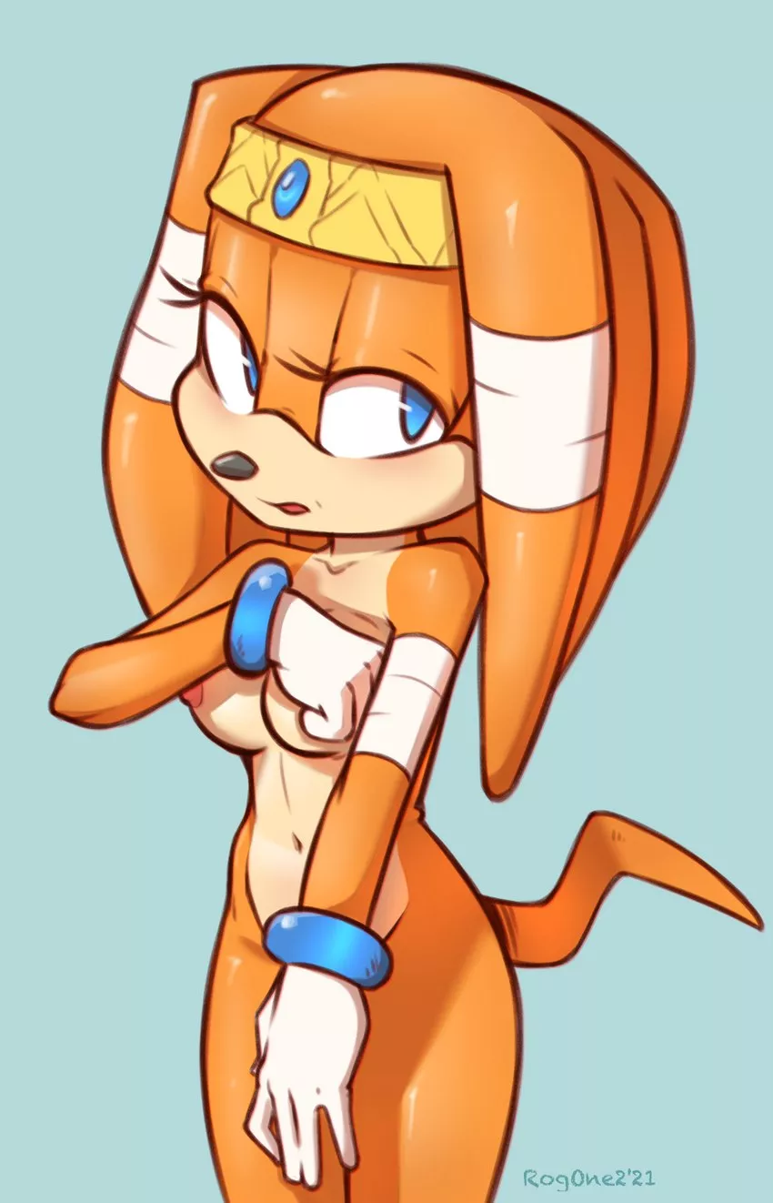 Shy Tikal (qrog)