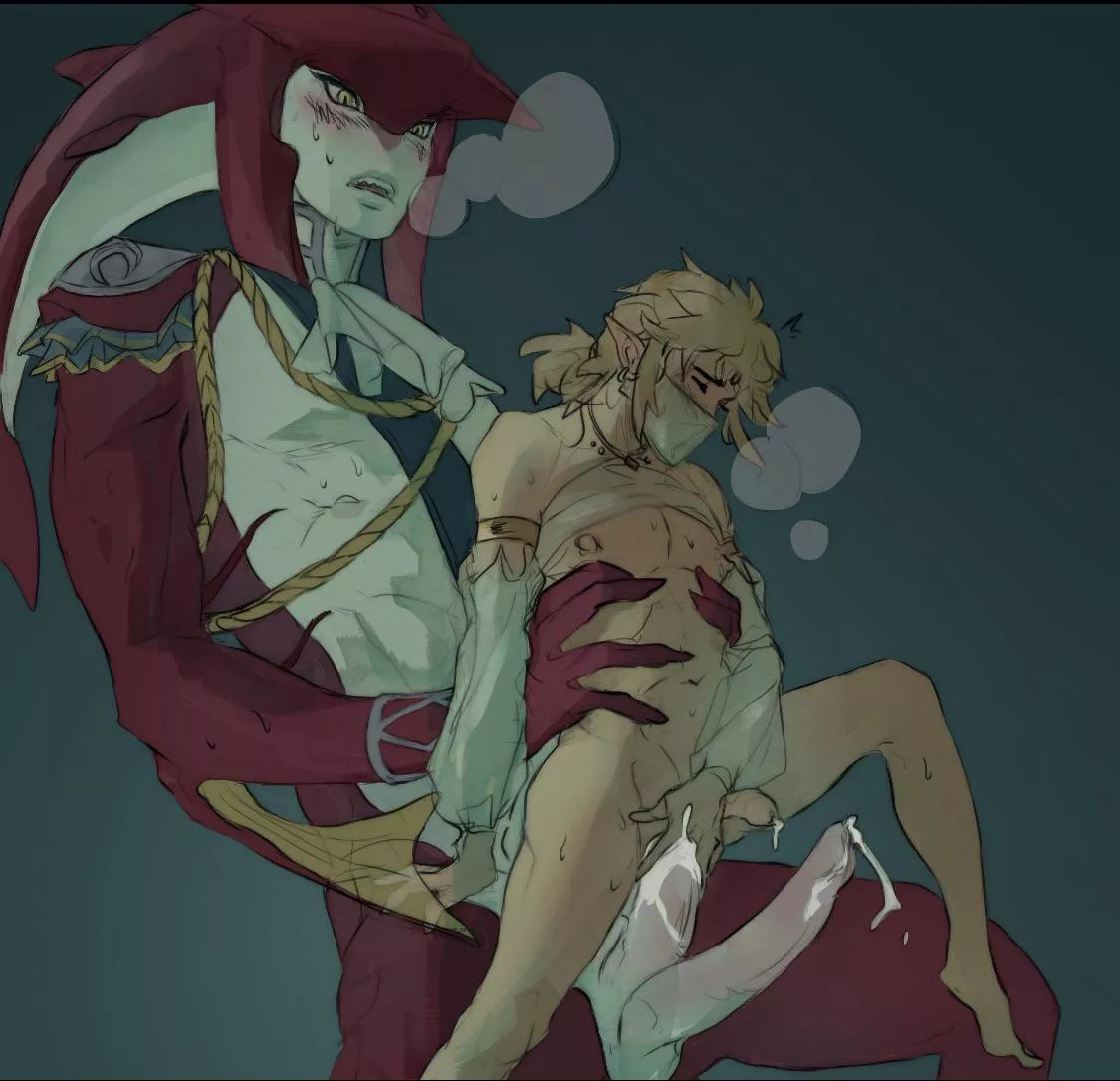 Sidon/Link is easily my favorite ship in gaming