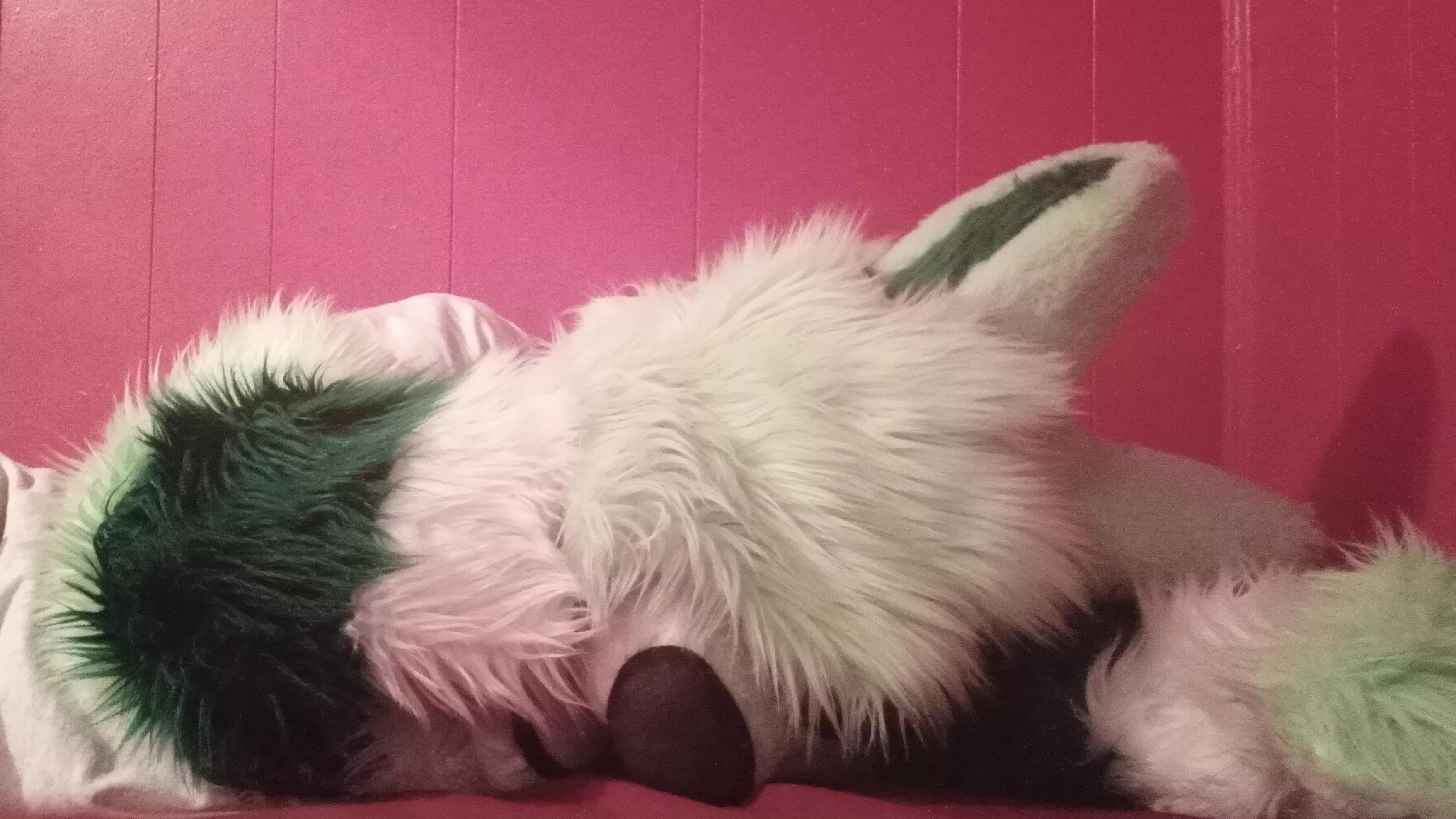 Sleepy Boi (Fursuit Friday 11/19/21)