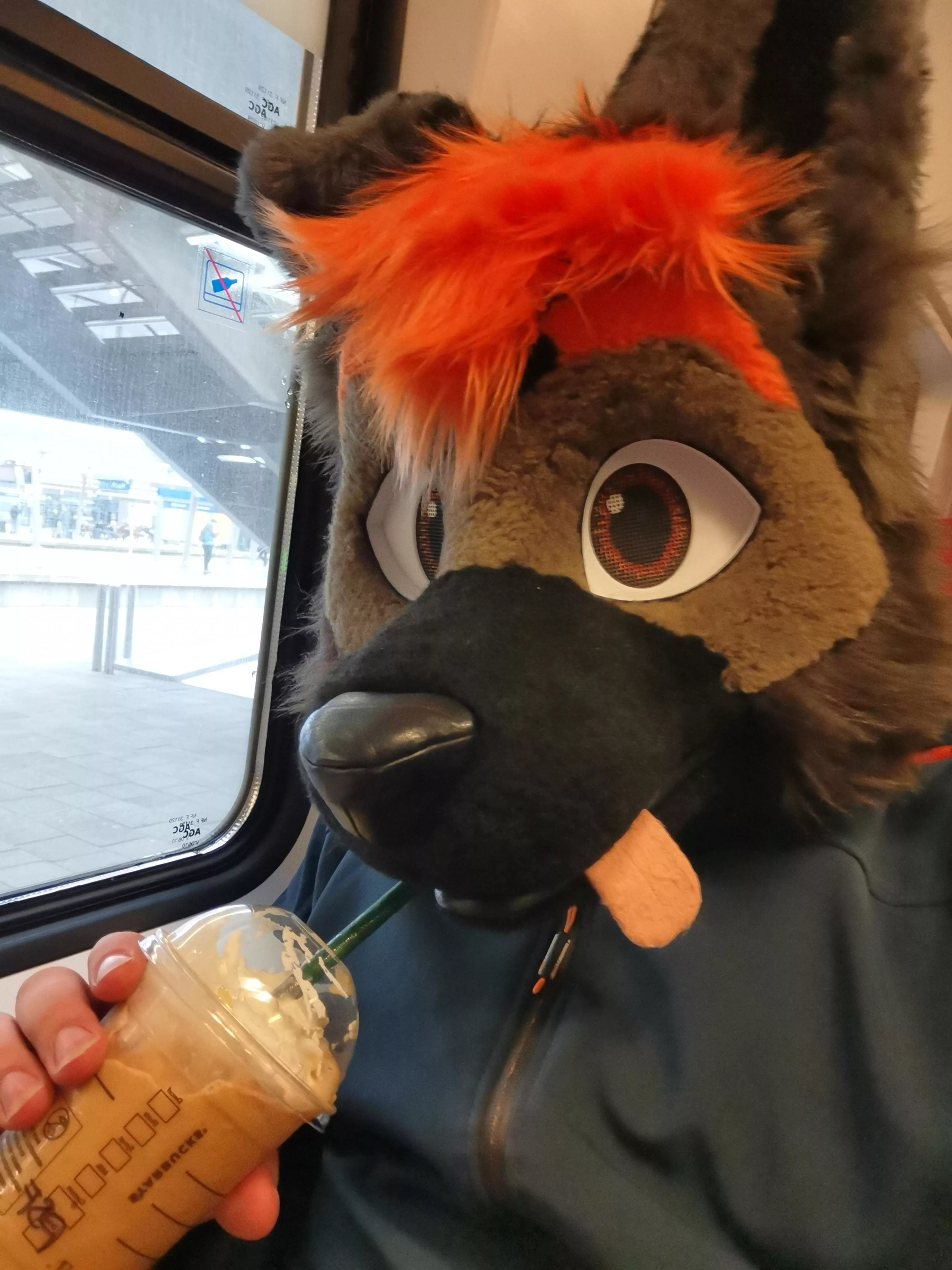 Slurps some Starbucks!