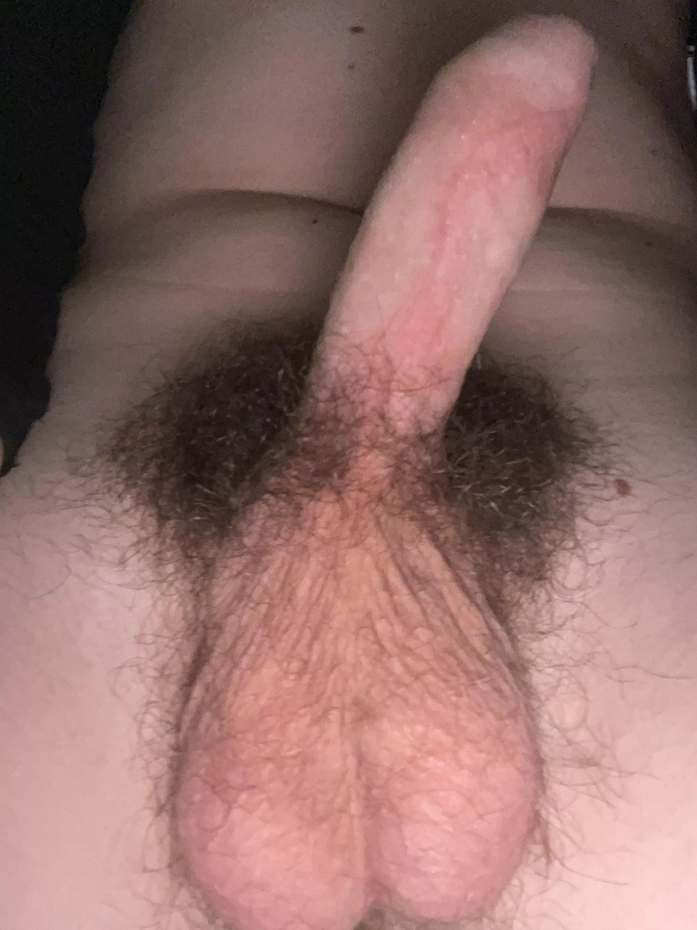 Small uncut hairy cock and balls. DMs open