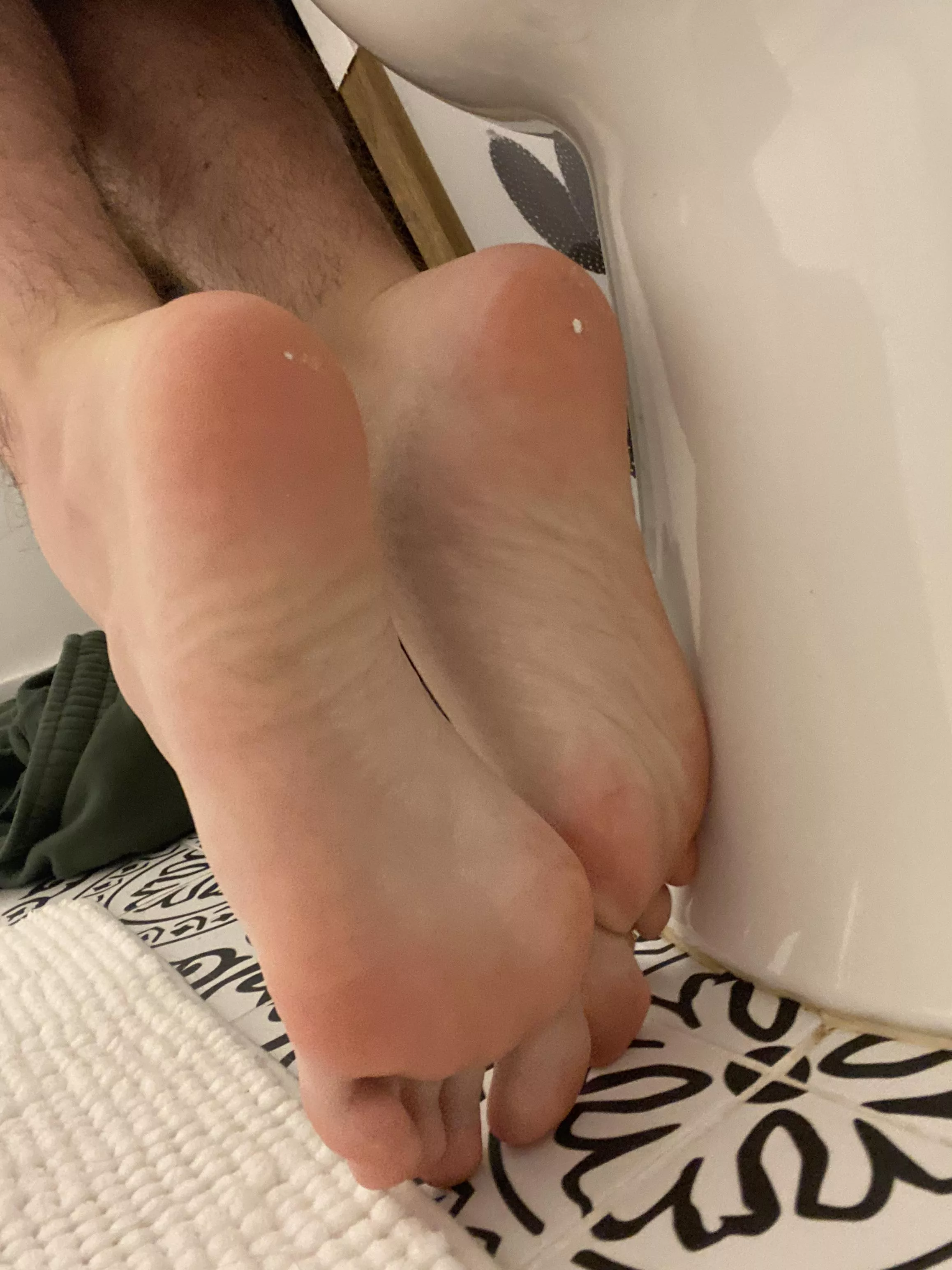 Sniff em 🐷