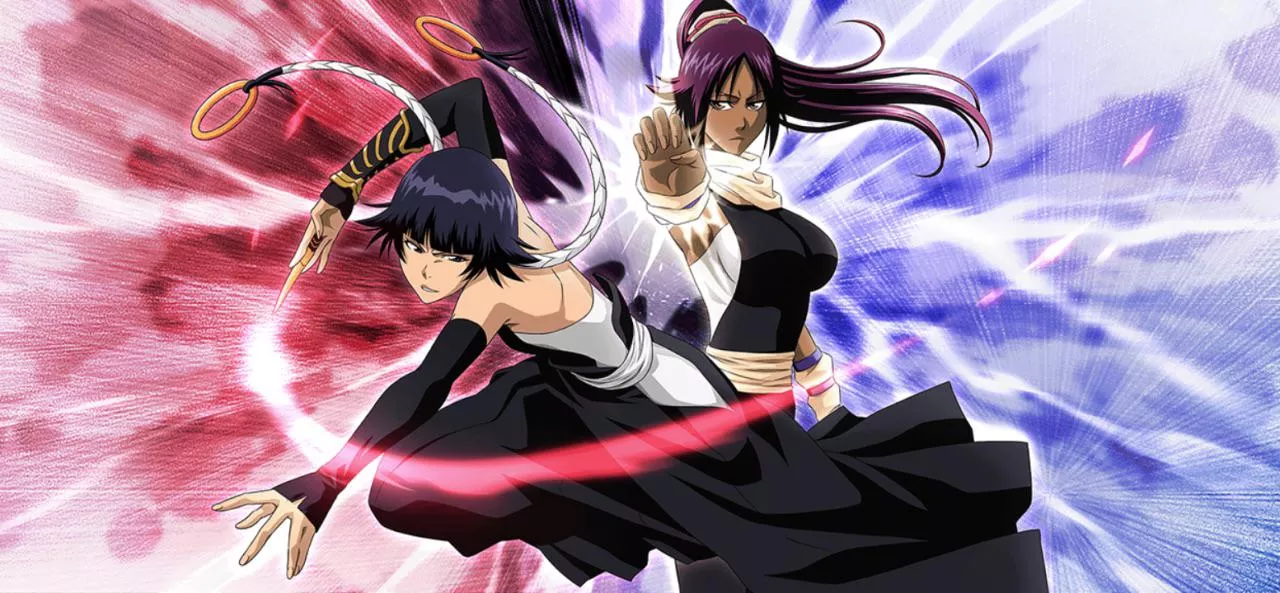 Soi Fon & Yoruichi [Bleach]