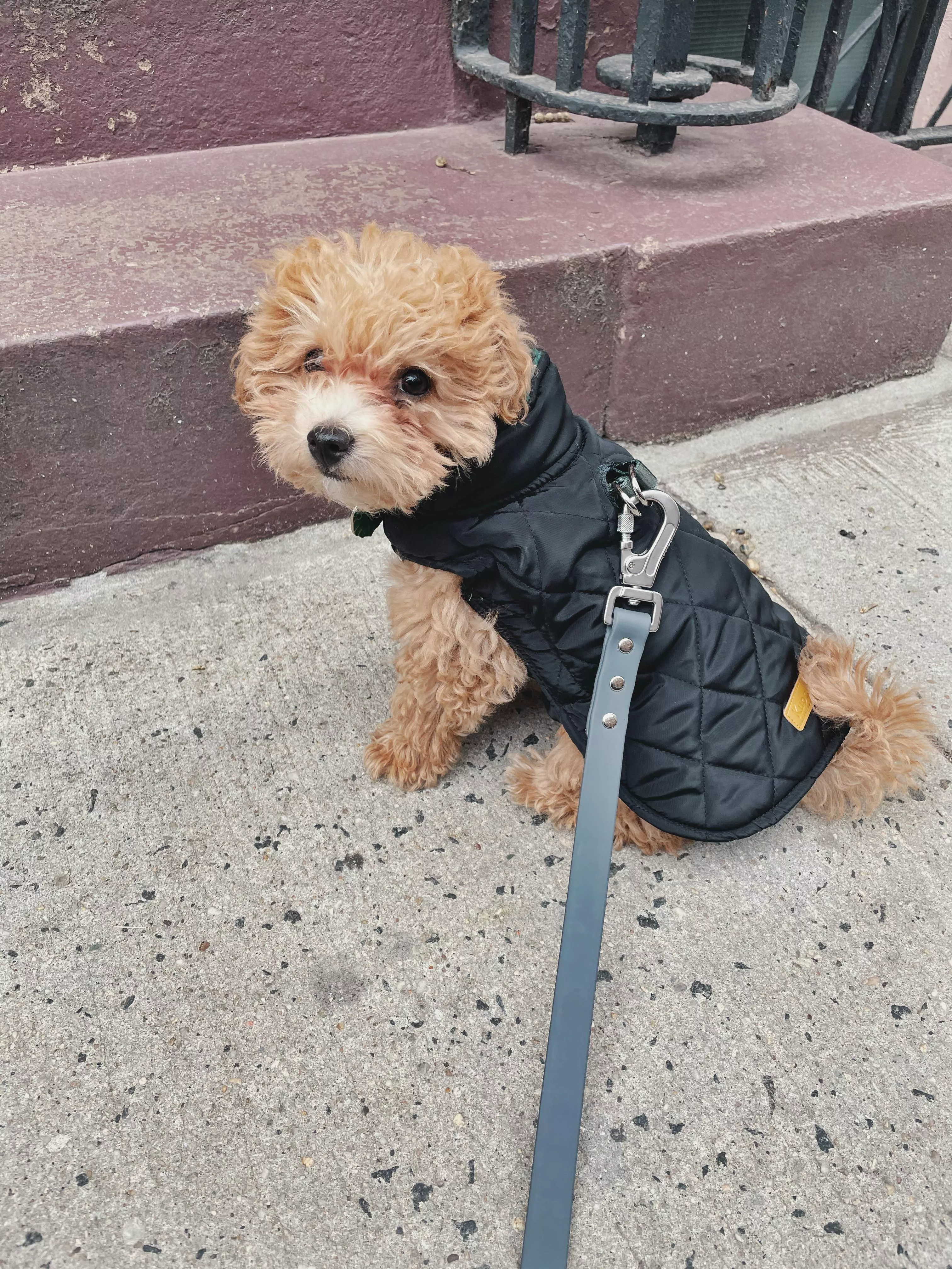 Someone is looking handsome in his new jacket!