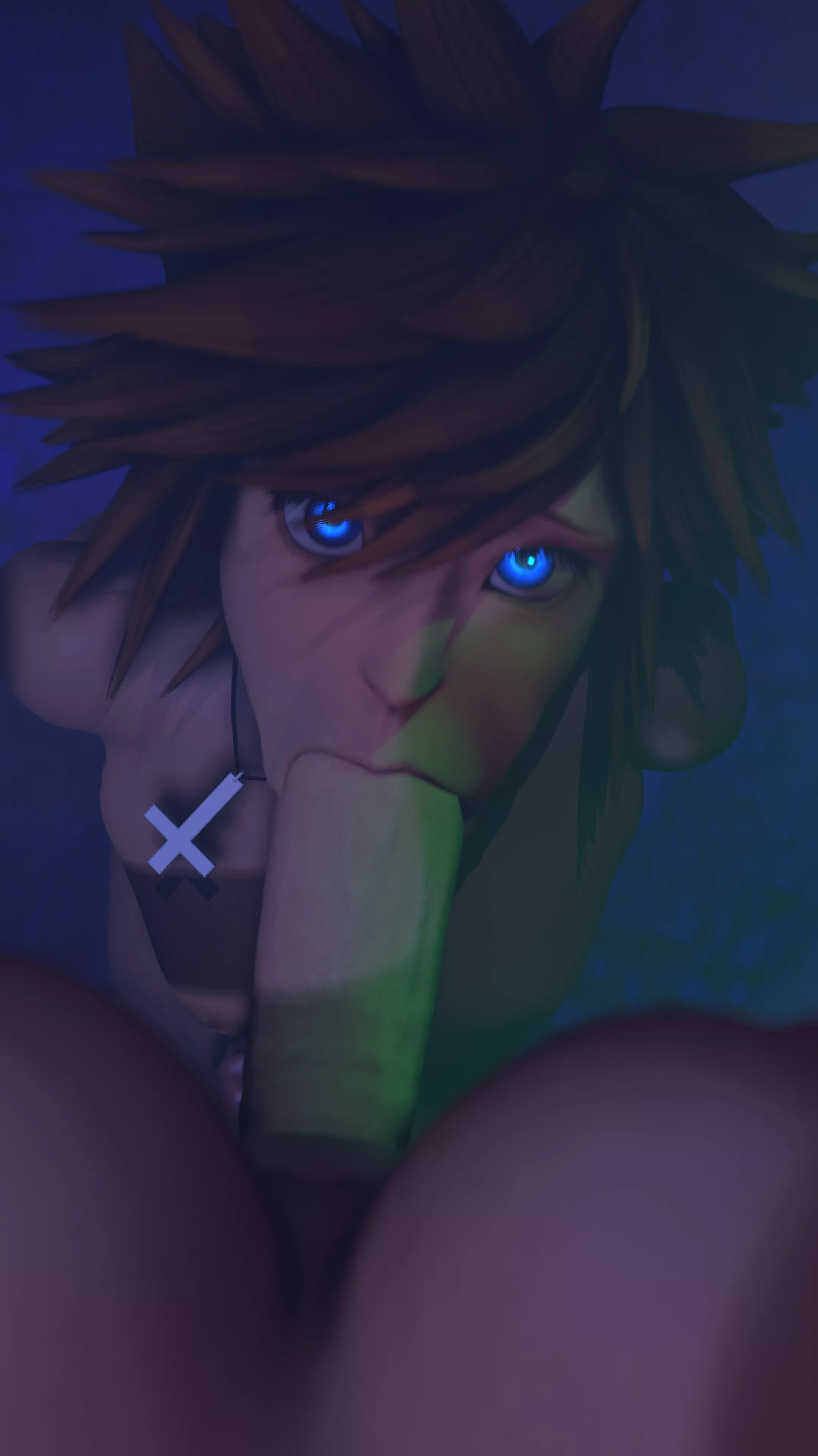 Sora sucking dick