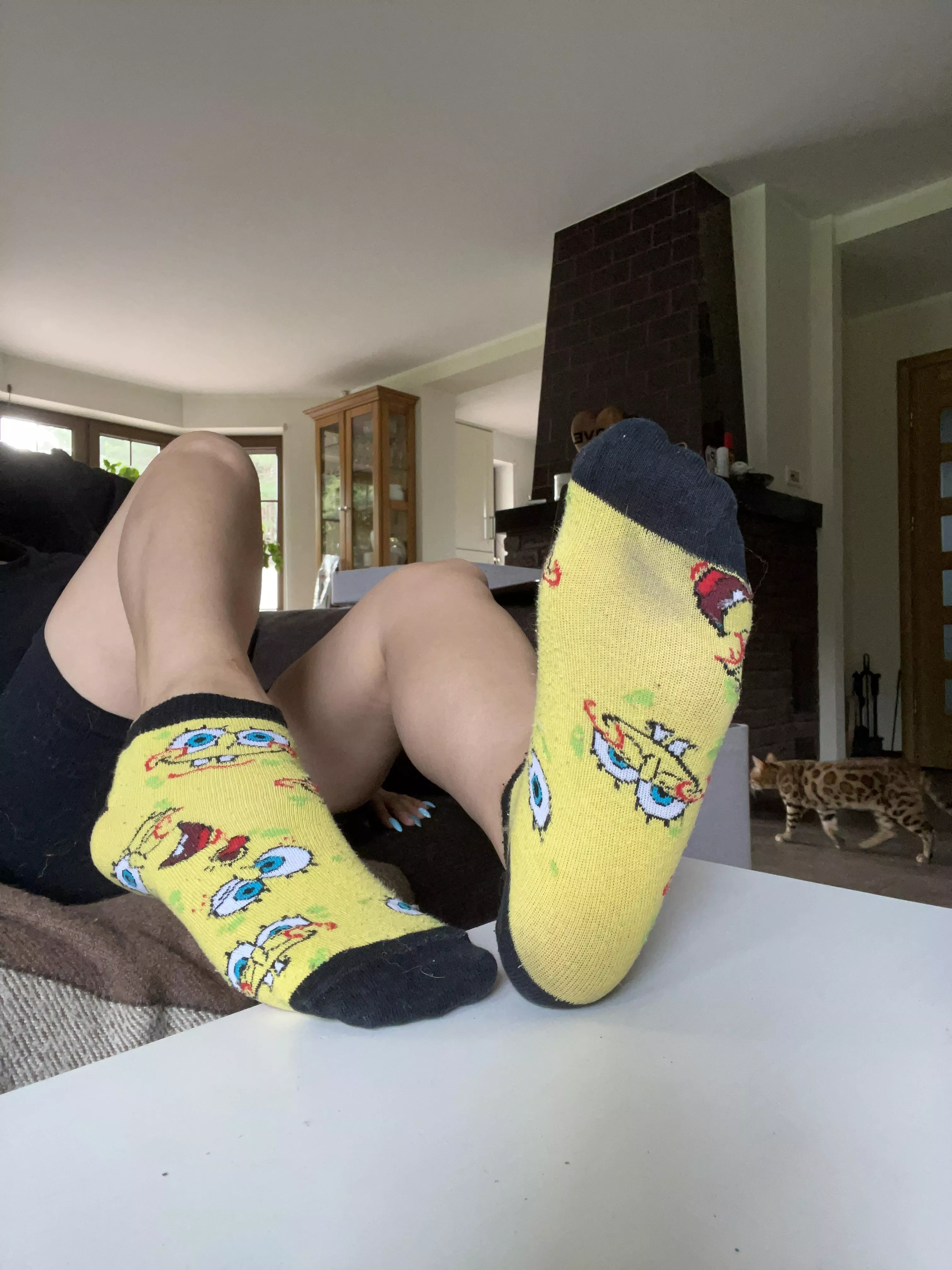 Spongebob sockies! ðŸ¤ª