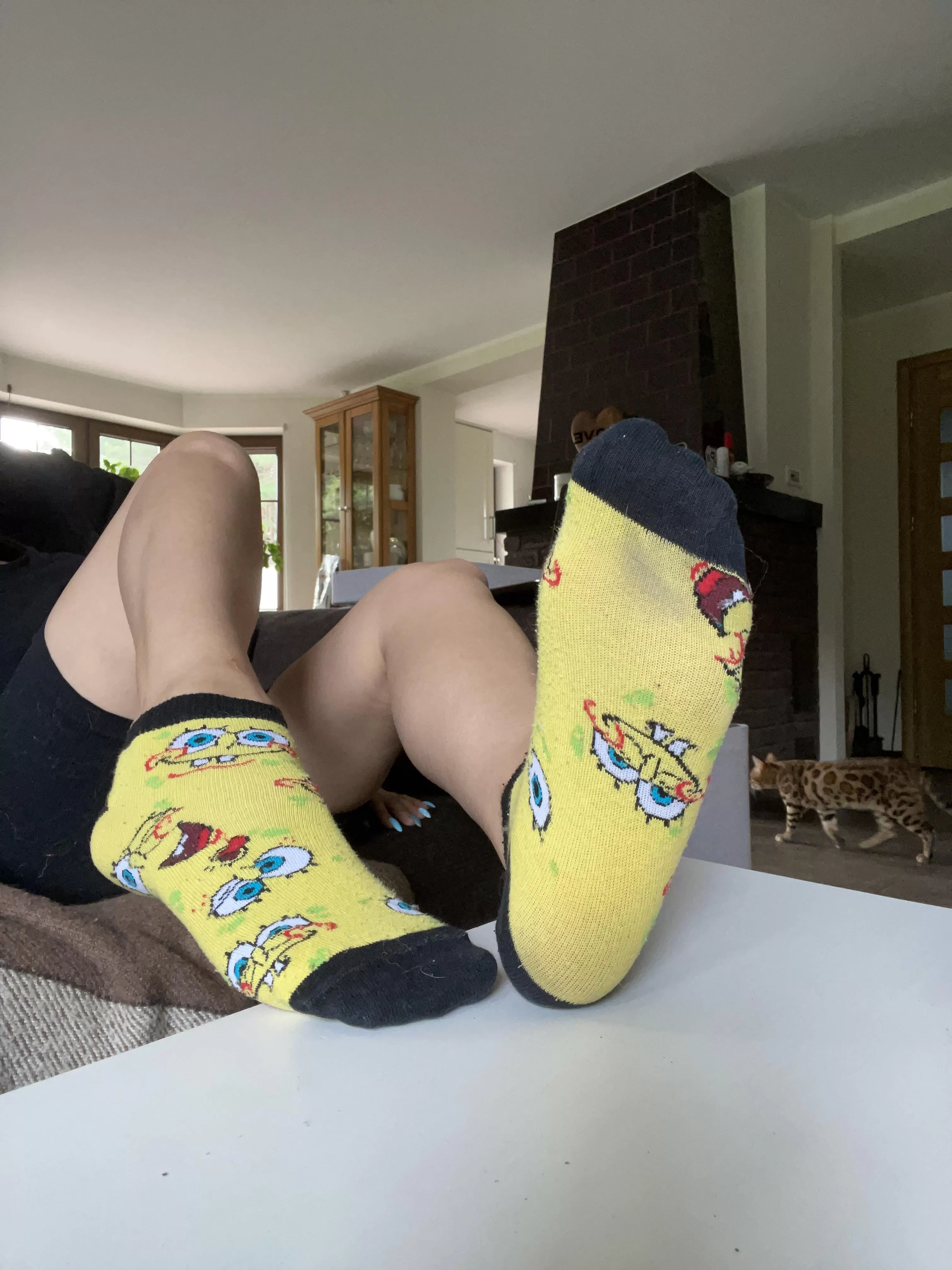 Spongebob sockies! ðŸ¤ª