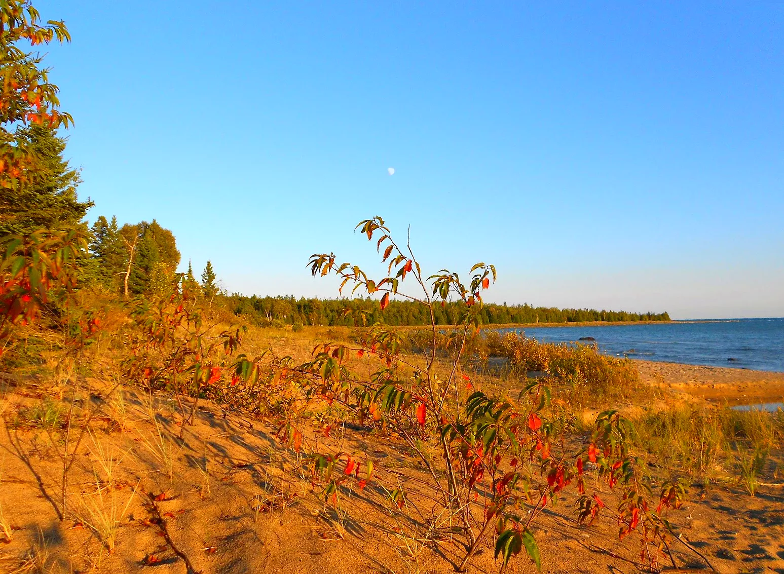 Square Bay, Manitoulin Island ON [OC] 1547x1133